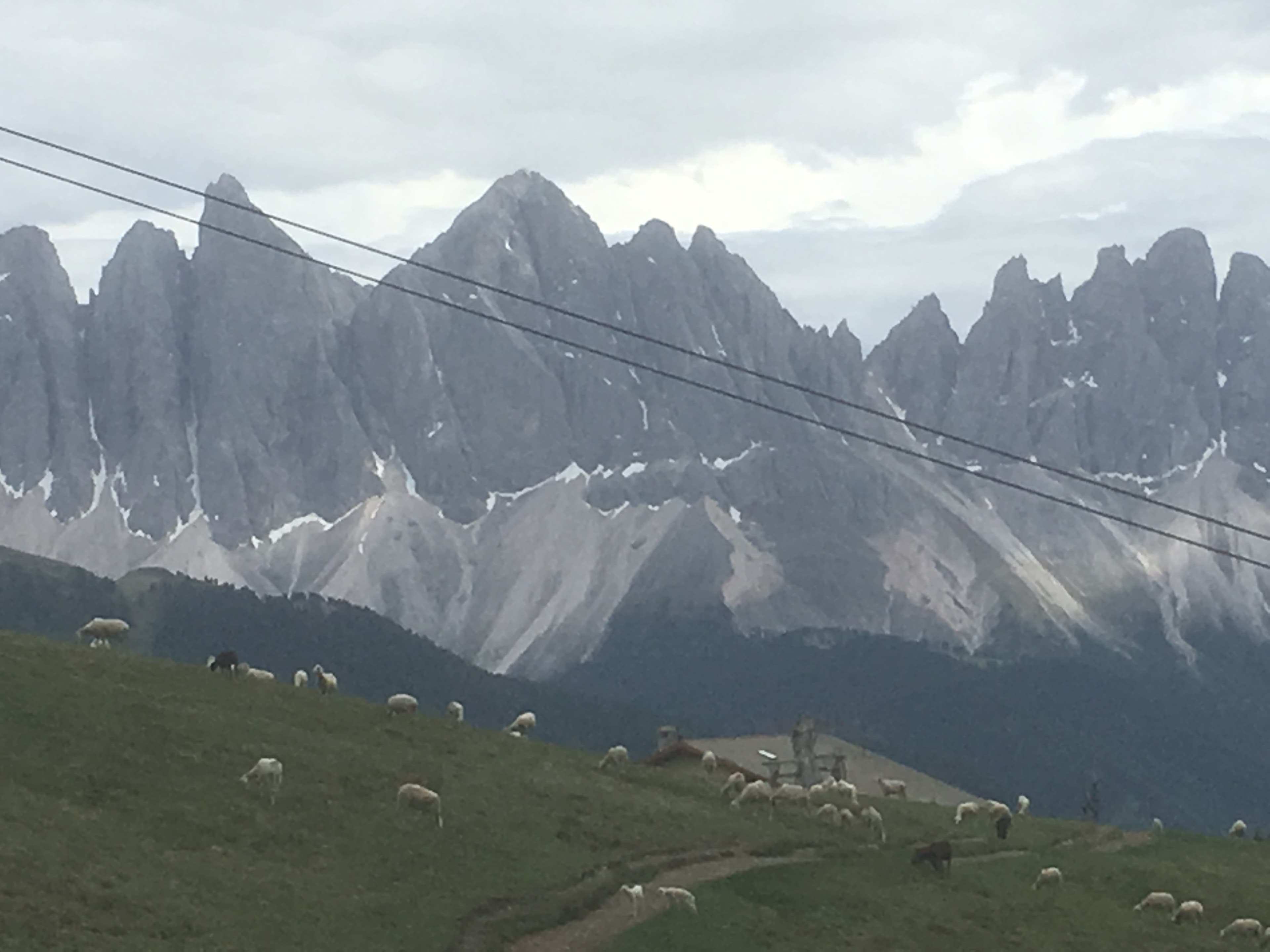 View of mountains and zipline during overcast weather.