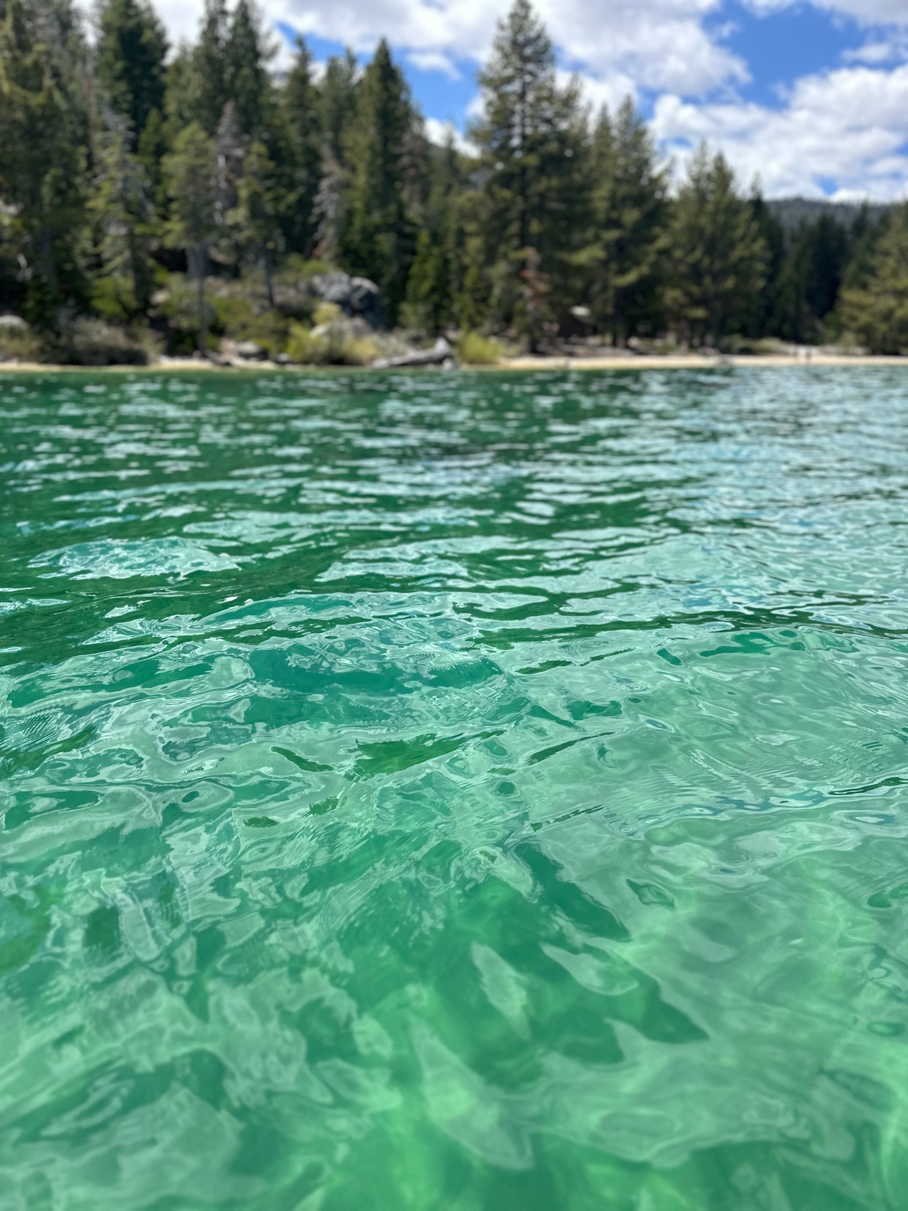A tranquil scene showcasing the water's surface as seen from a boat, with gentle ripples and a clear sky above.