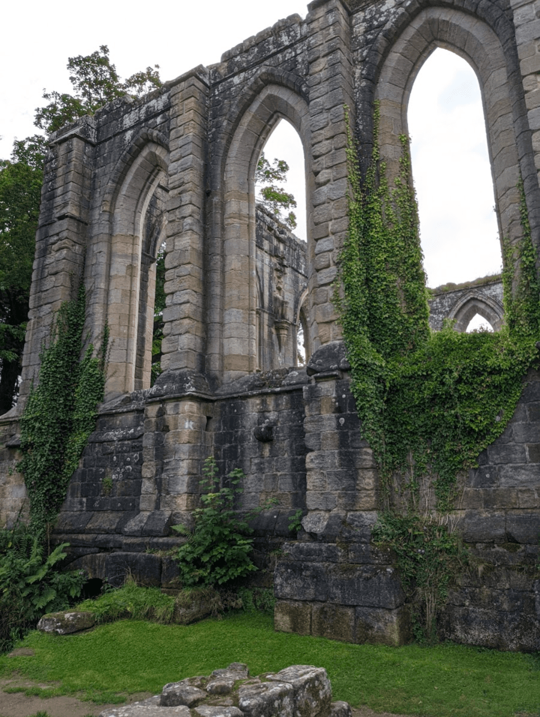 The historic ruins of St. Asaph Abbey, showcasing ancient stone walls and remnants of a once-grand structure.