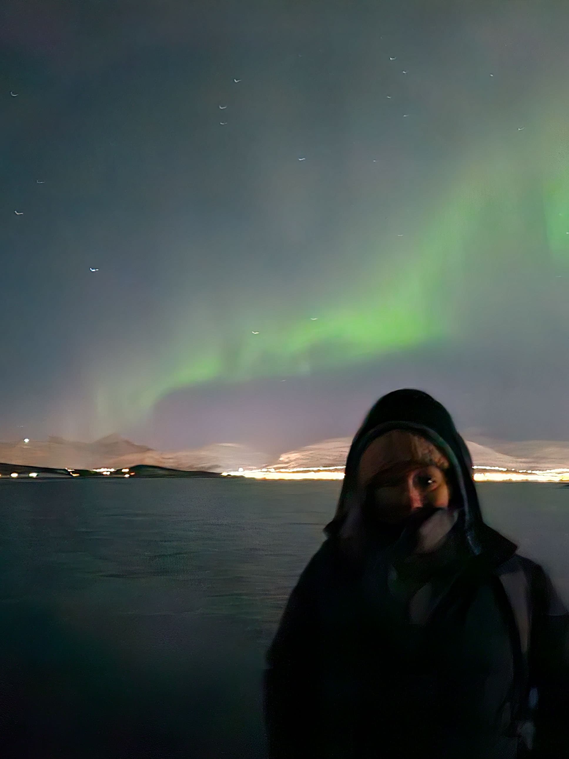 Advisor posing in front of a snowy expanse as the Northern Lights dance in the sky overhead.