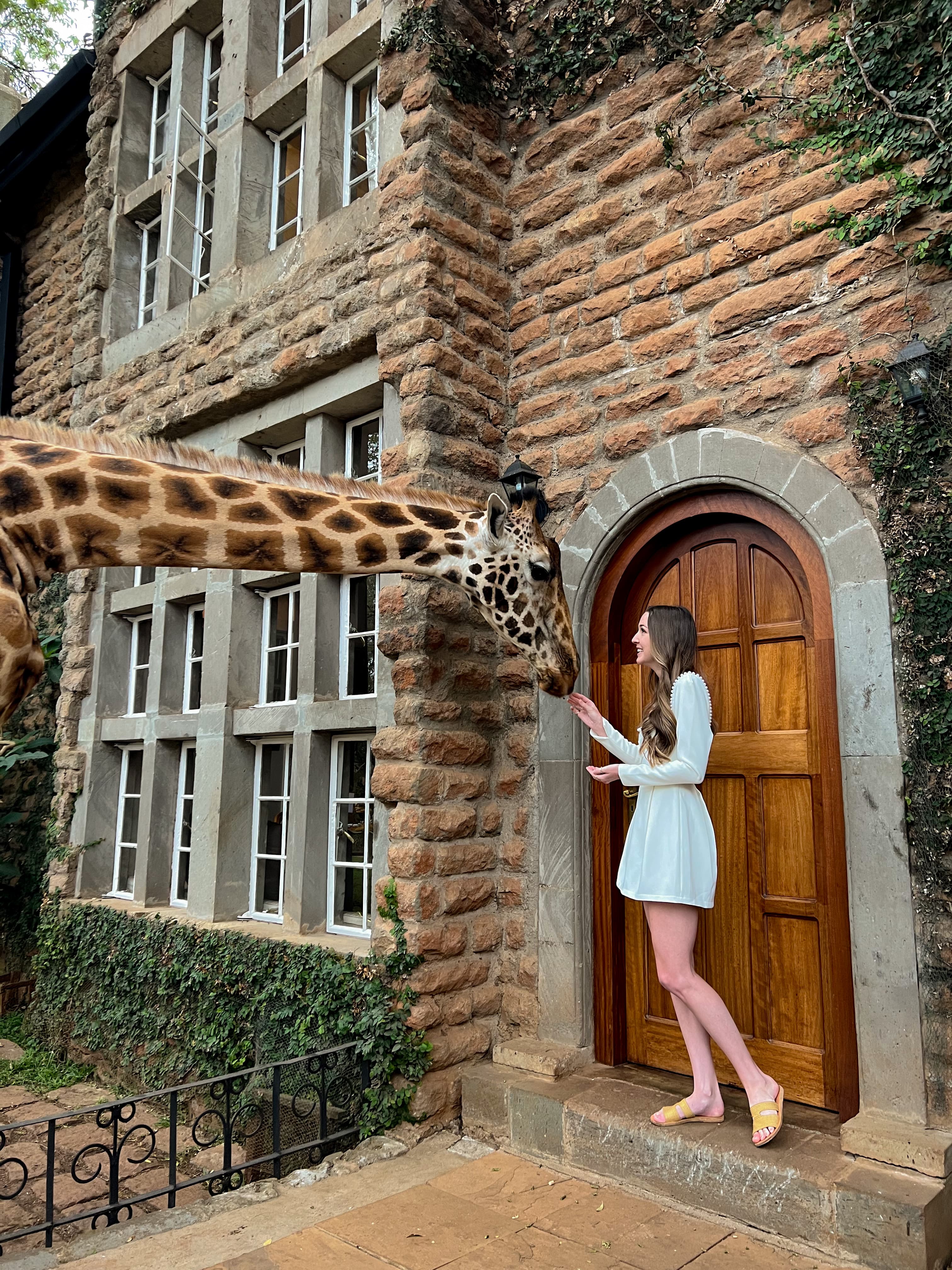 Advisor facing a giraffe outdoors at Giraffe Manor hotel