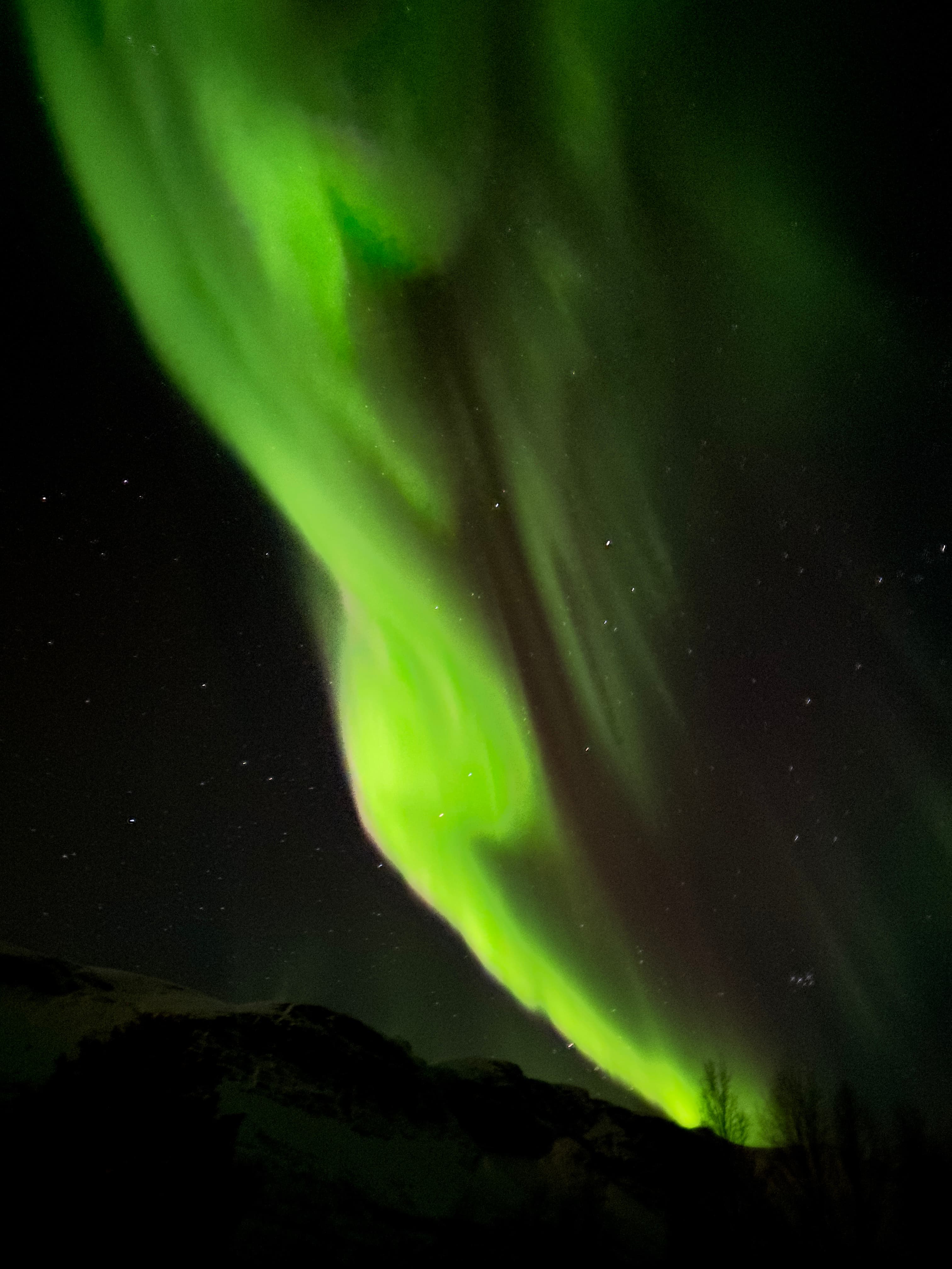 Northern lights.