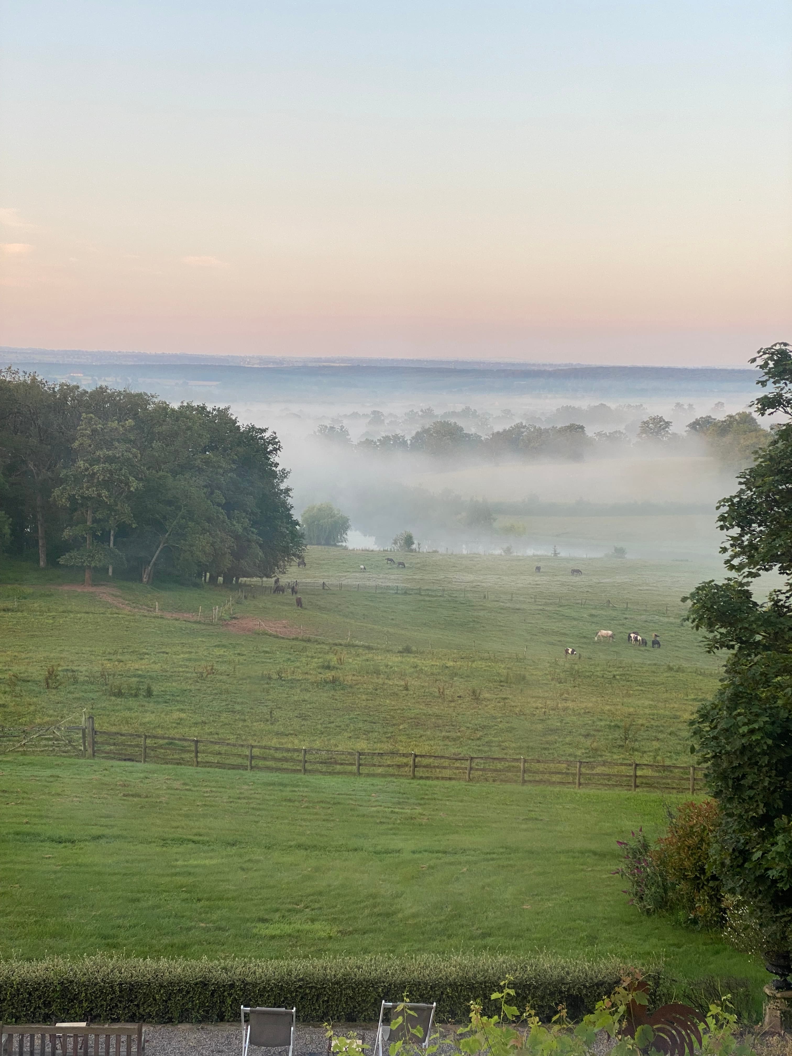 Fog over the field.