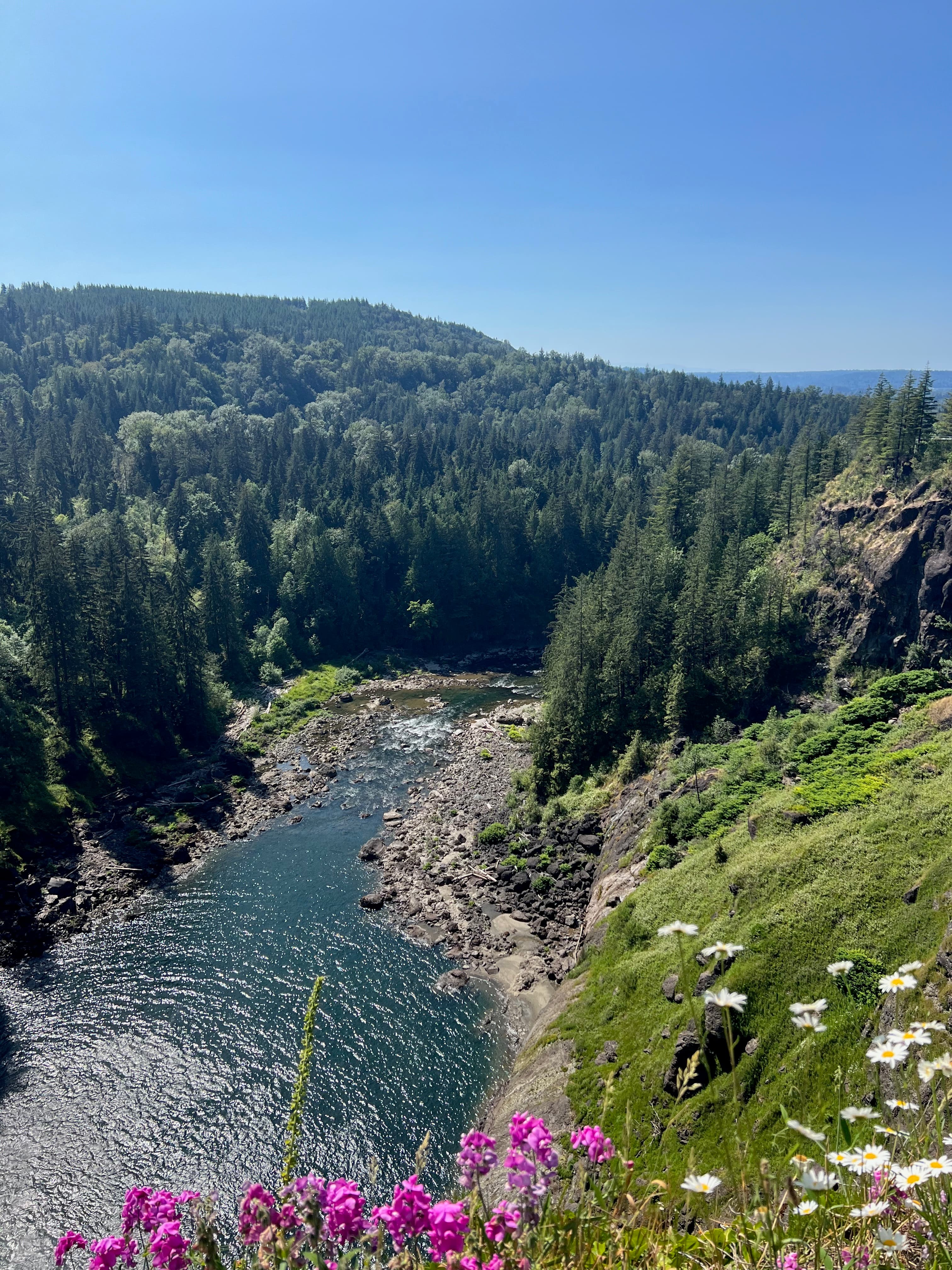 Overhead view of a small river flowing through the woods under clear skies