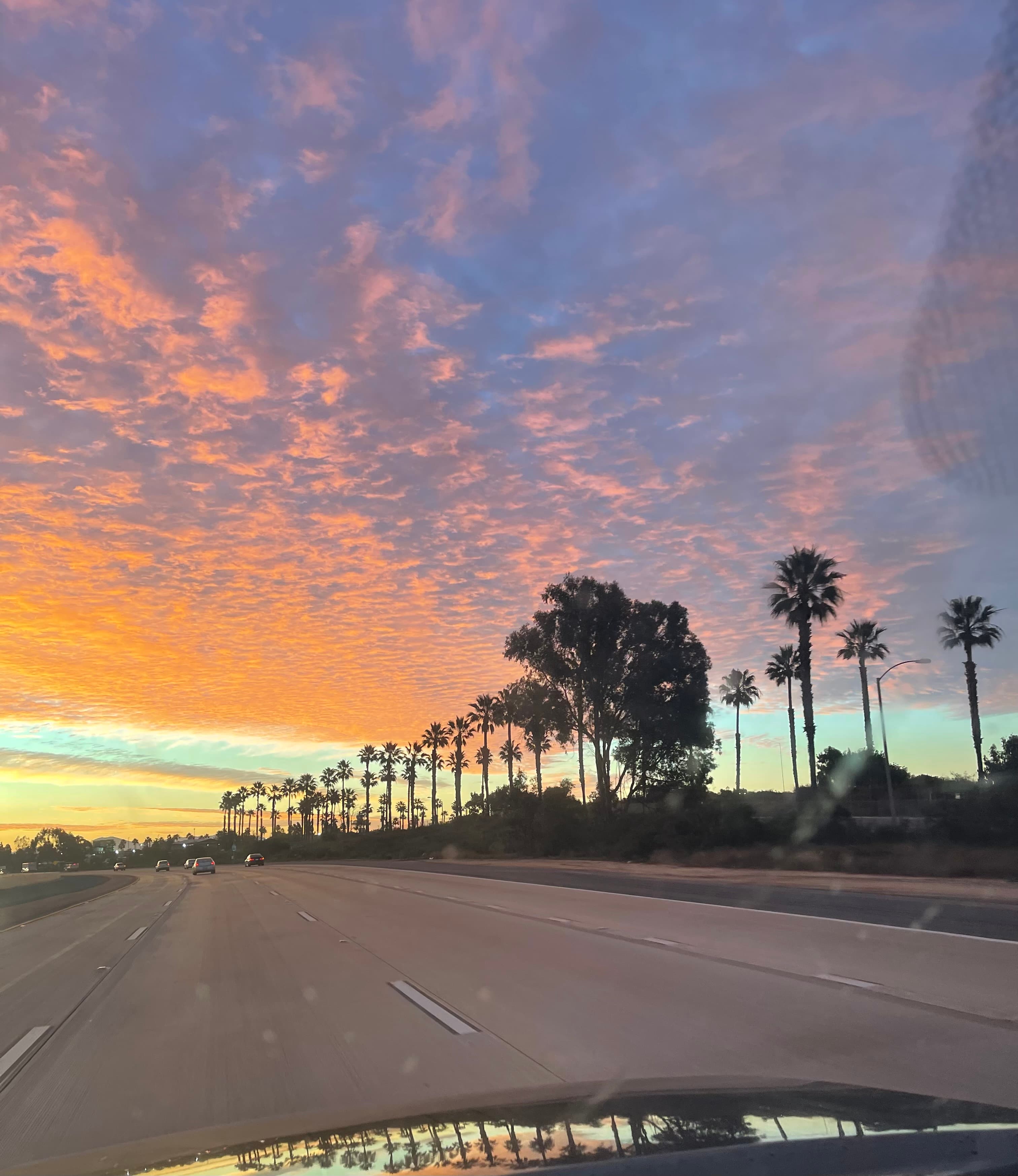 View of a beautiful pastel-colored sunset over an empty highway lined with palm trees