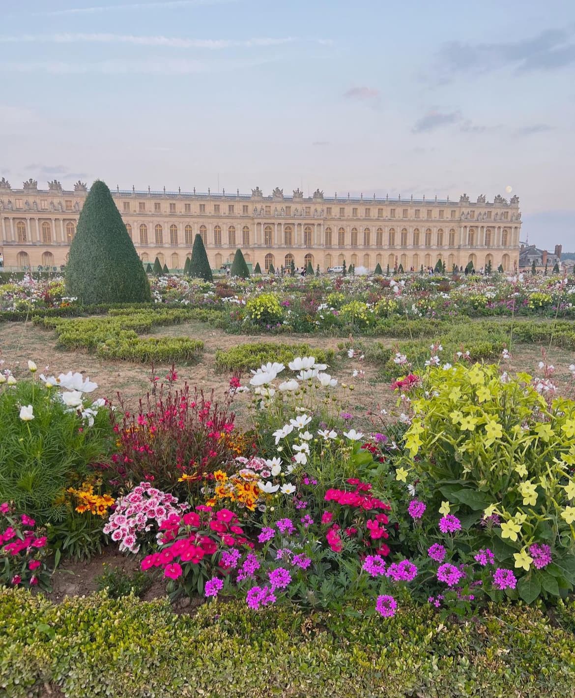 View of colorful flowers in bloom in a park with a large building in the distance