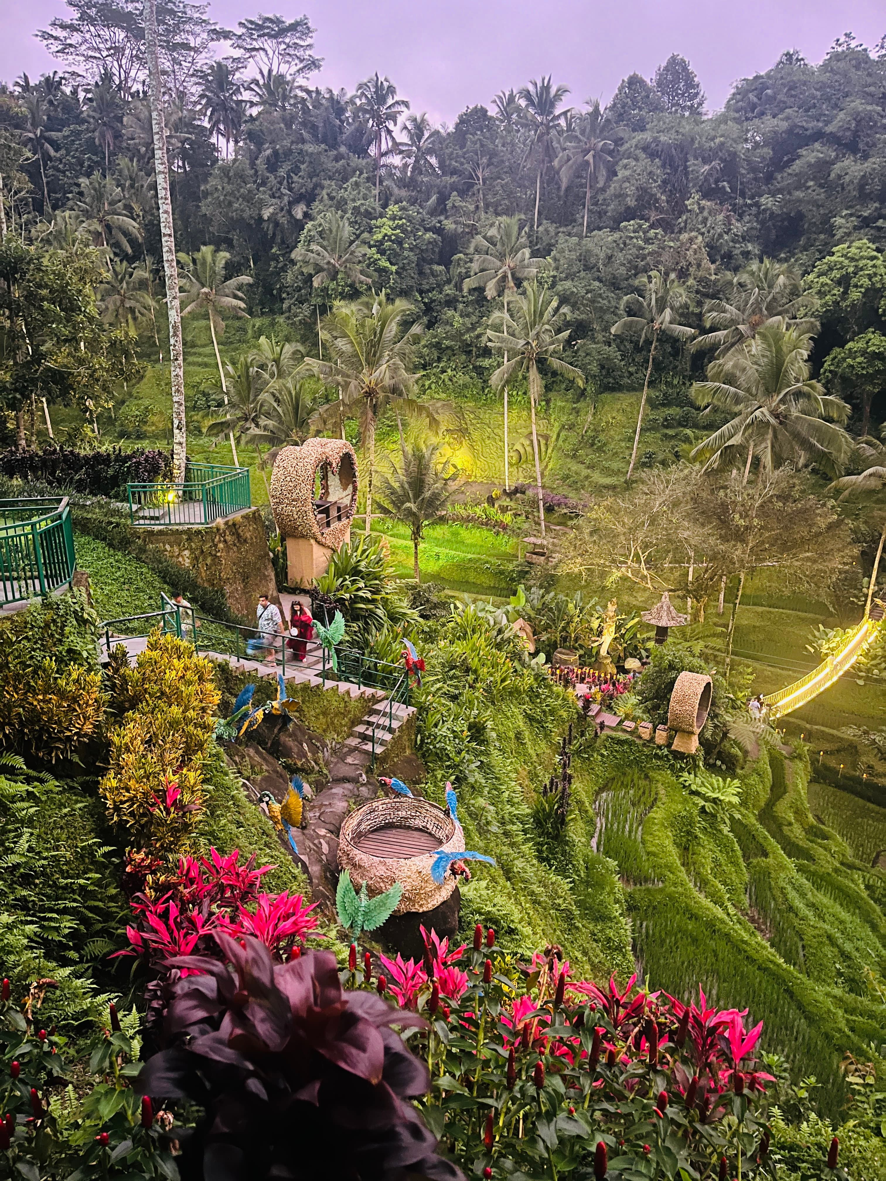 View of a lush green valley with tropical plants on a cloudy day