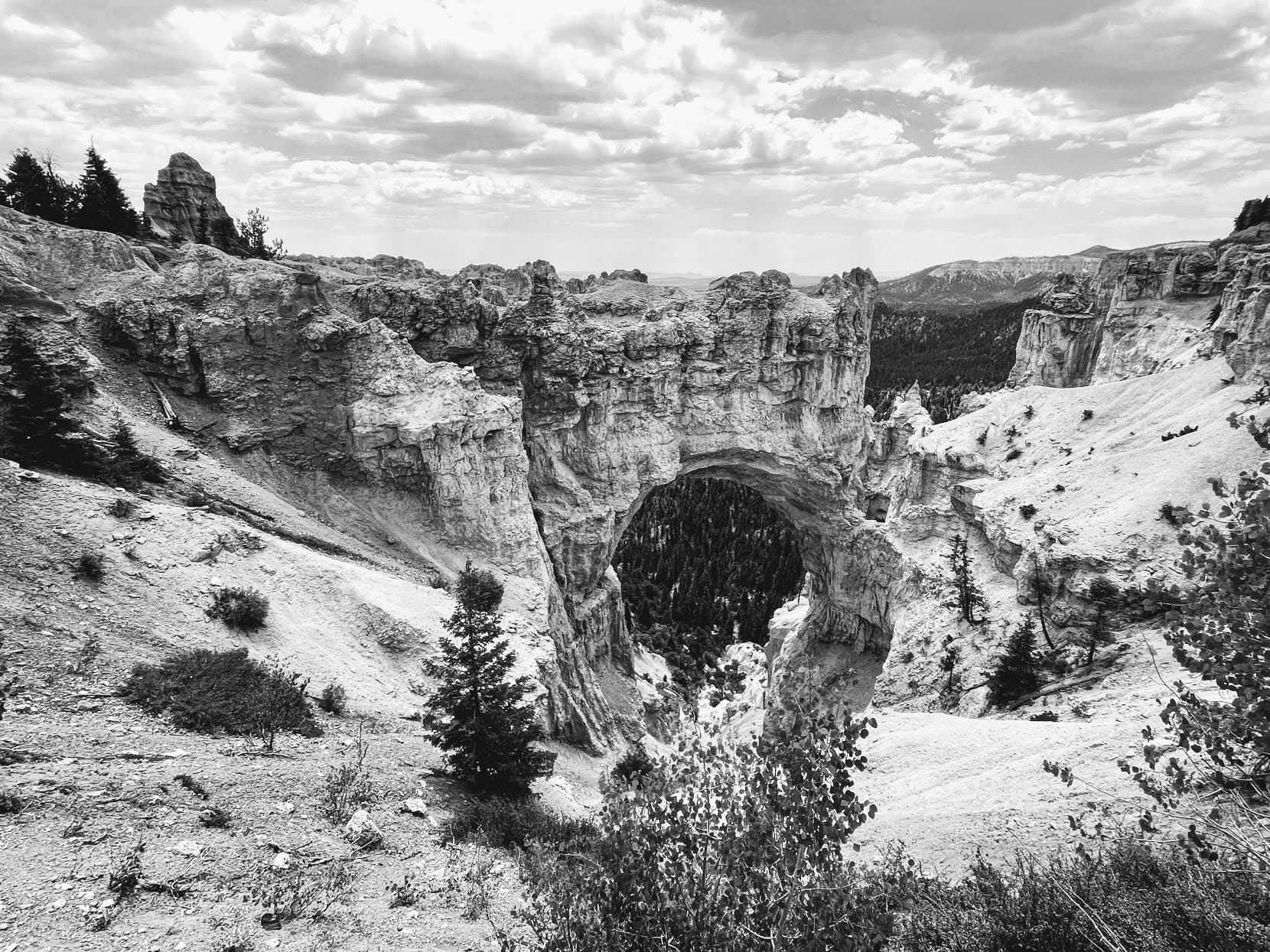 Black and white photo of a beautiful canyon during the day