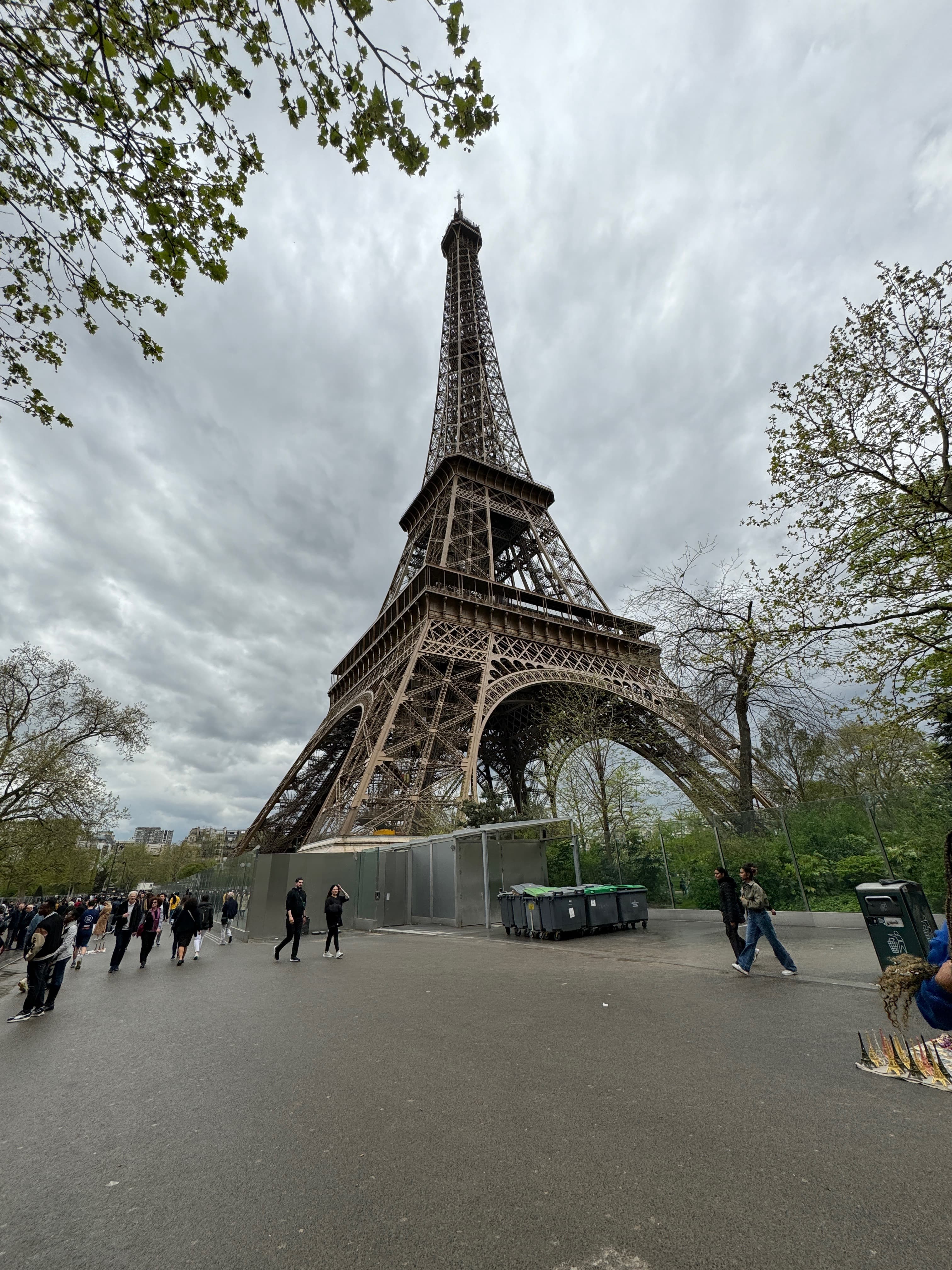 View of the Eiffel Tower and nearby trees on a cloudy day in Paris