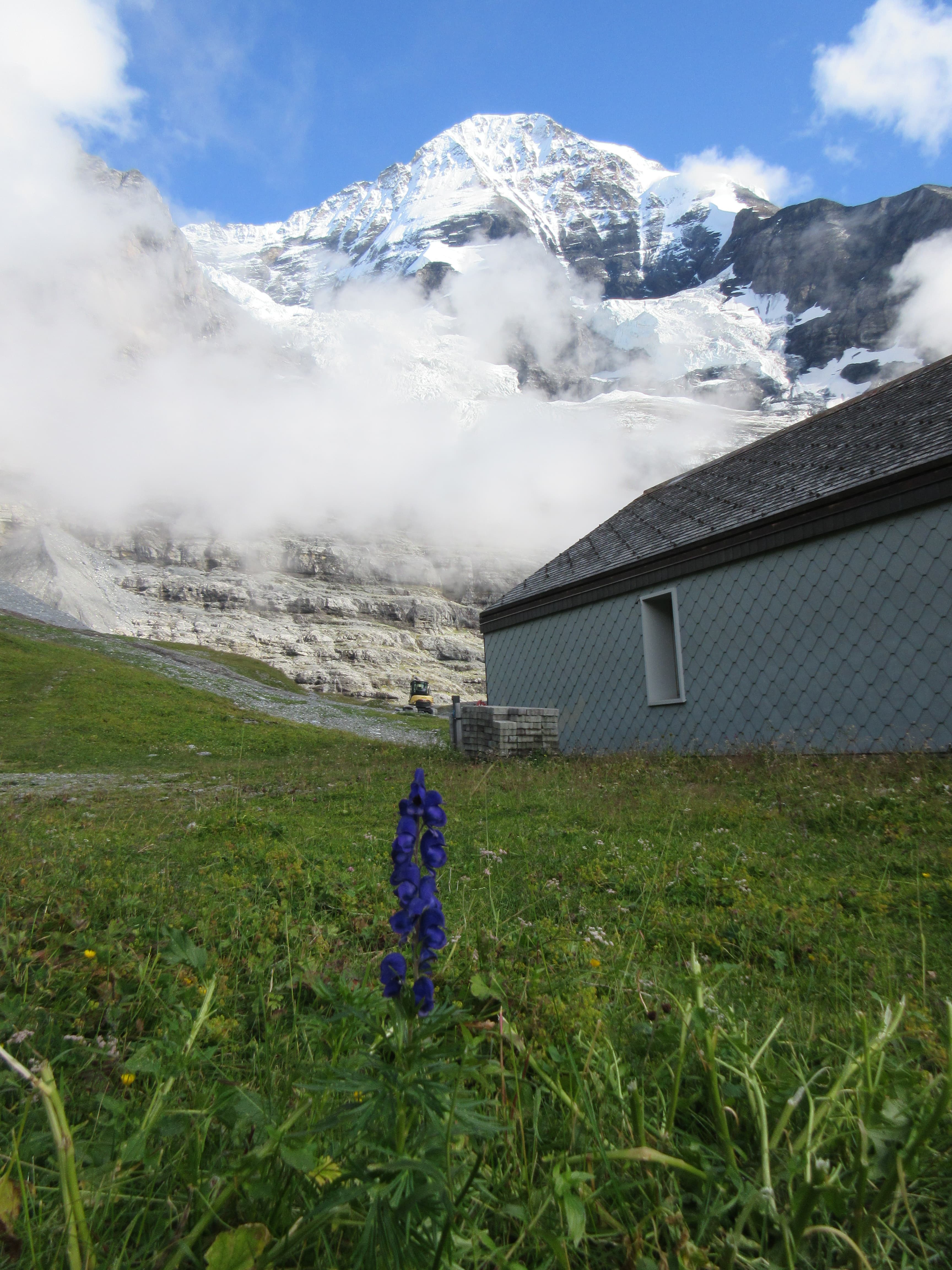 View of a small grey building in a grassy field with dramatic snow-capped mountains behind it