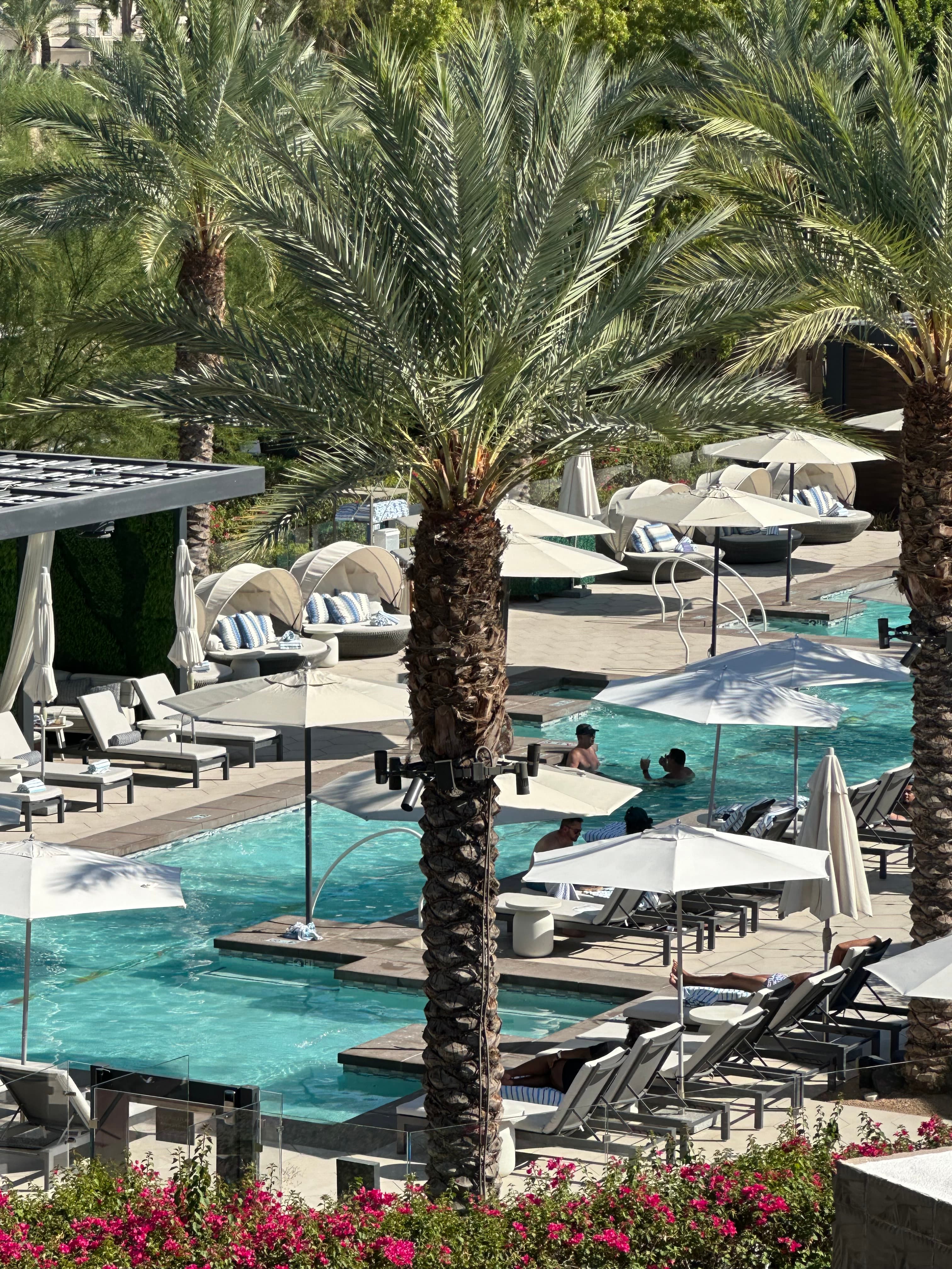 View of a resort pool lined with lounges and palm trees on a sunny day