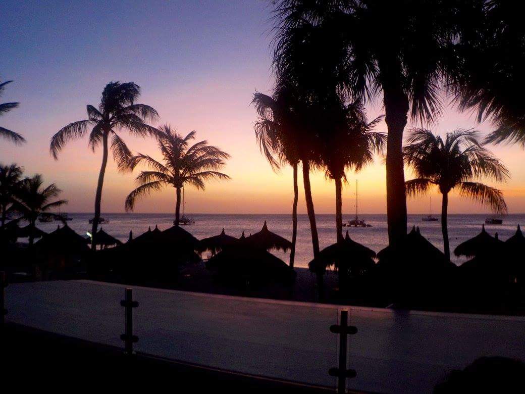 View of palm trees and umbrellas in silhouette with a glowing yellow sunset on the horizon
