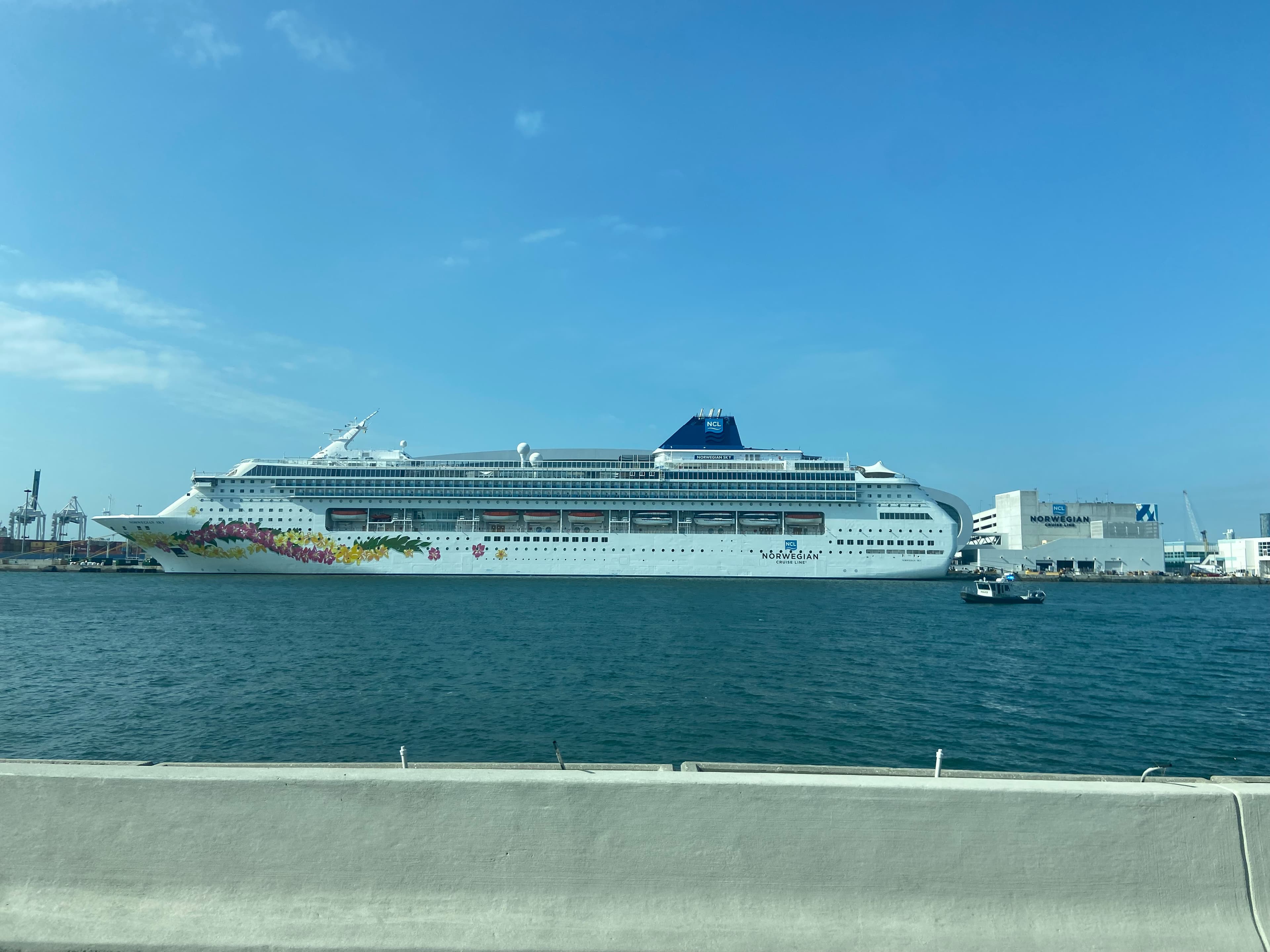 Cruise ship during the day.