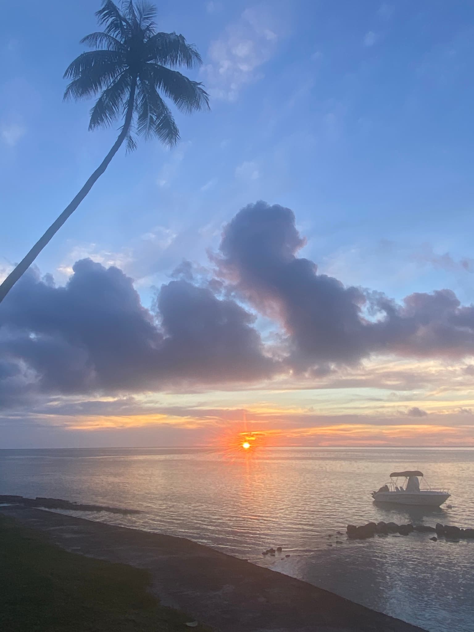 View of a beautiful sunset over the ocean’s horizon with a slanted palm tree on the beach in the foreground