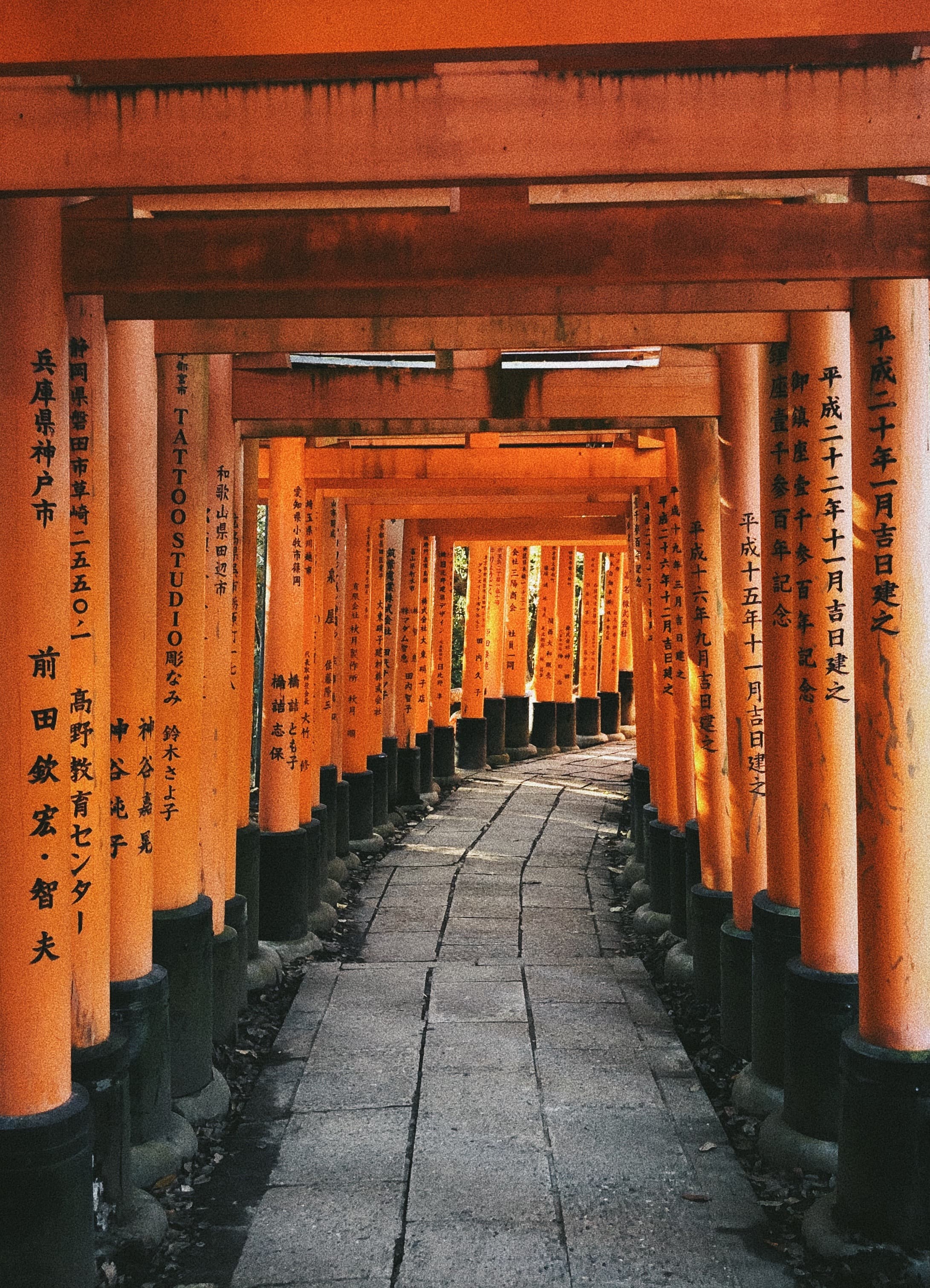 View of a Japanese Torii gate pathway