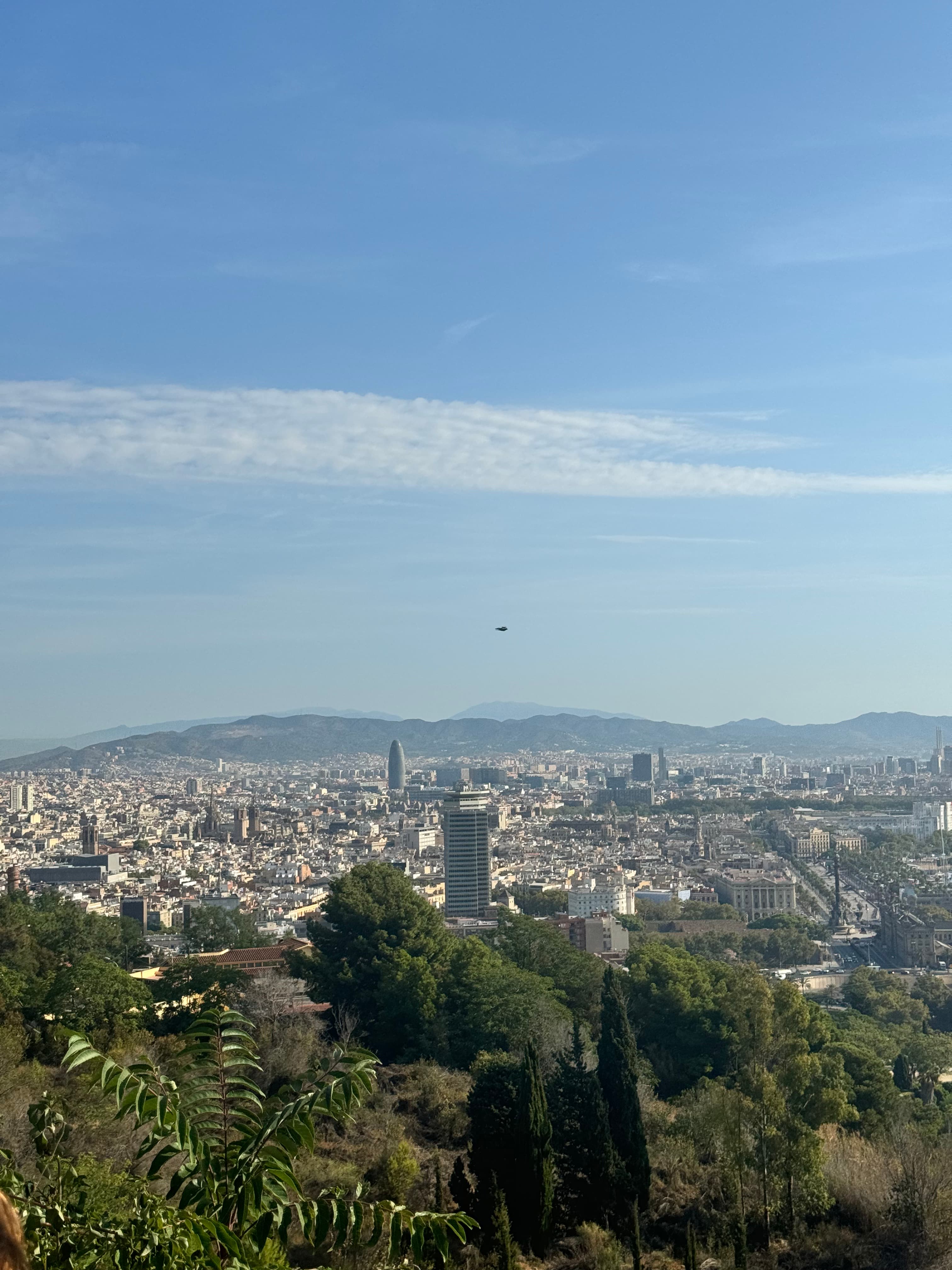 Aerial view of a large city with mountains on the horizon on a clear day