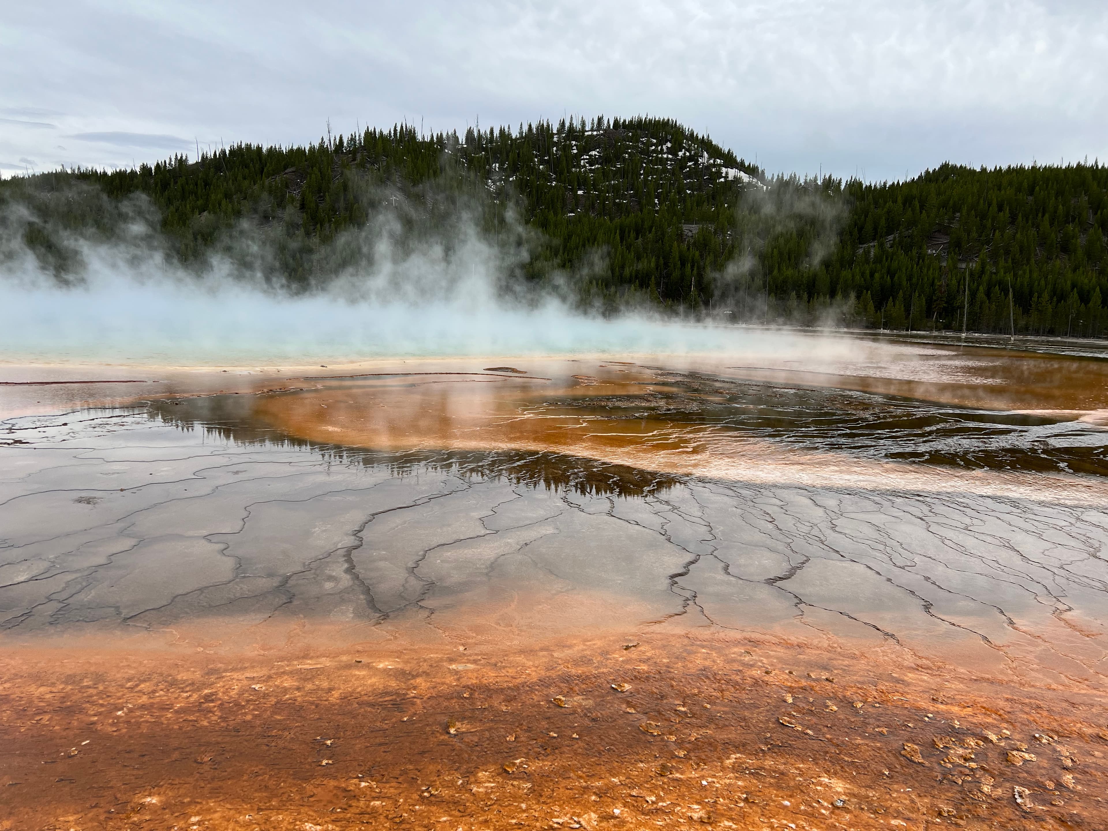 View of steam rising from a hot water spring in the jungle