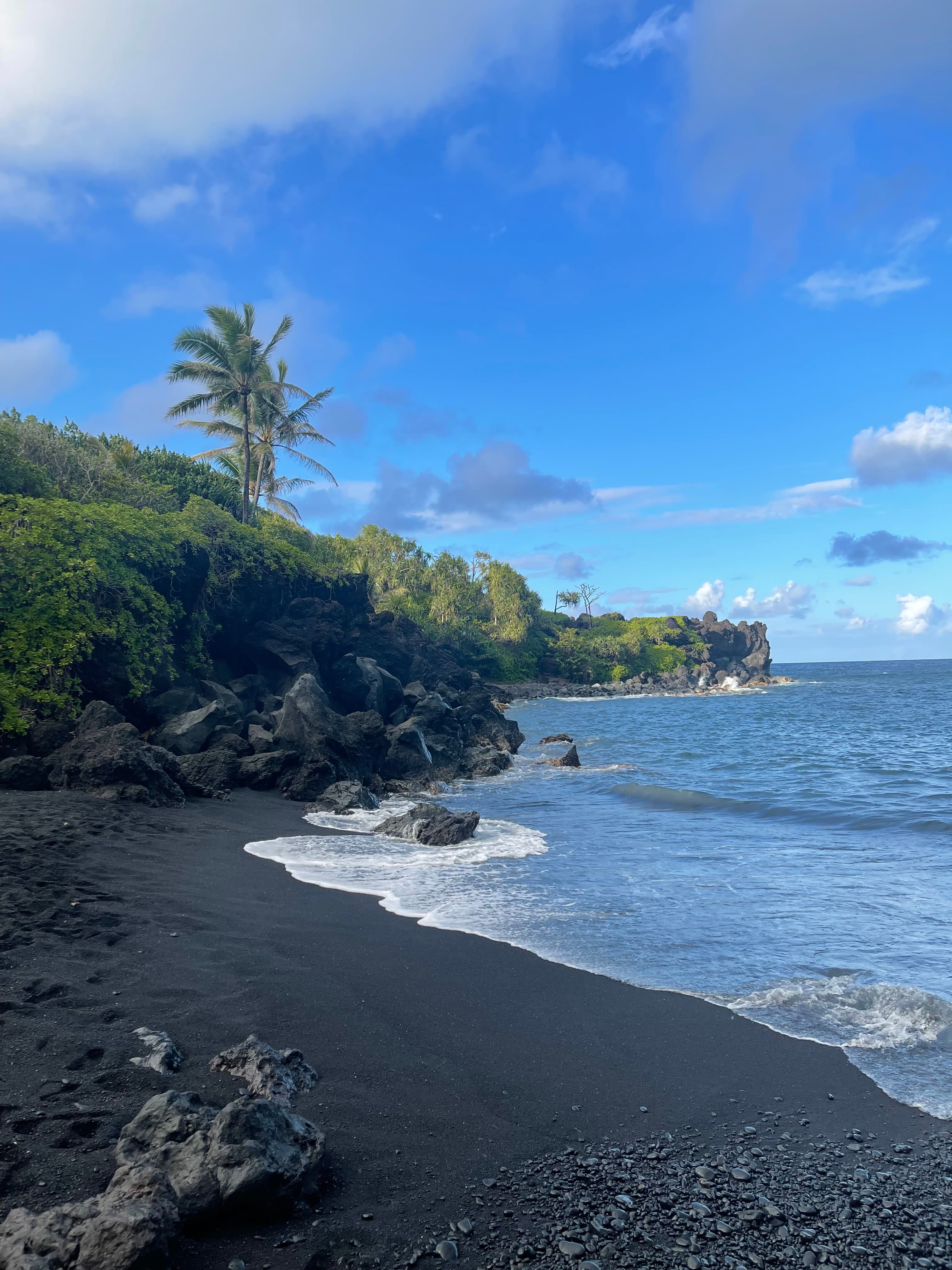A black sand beach and calm waves lined with lush tropical plants