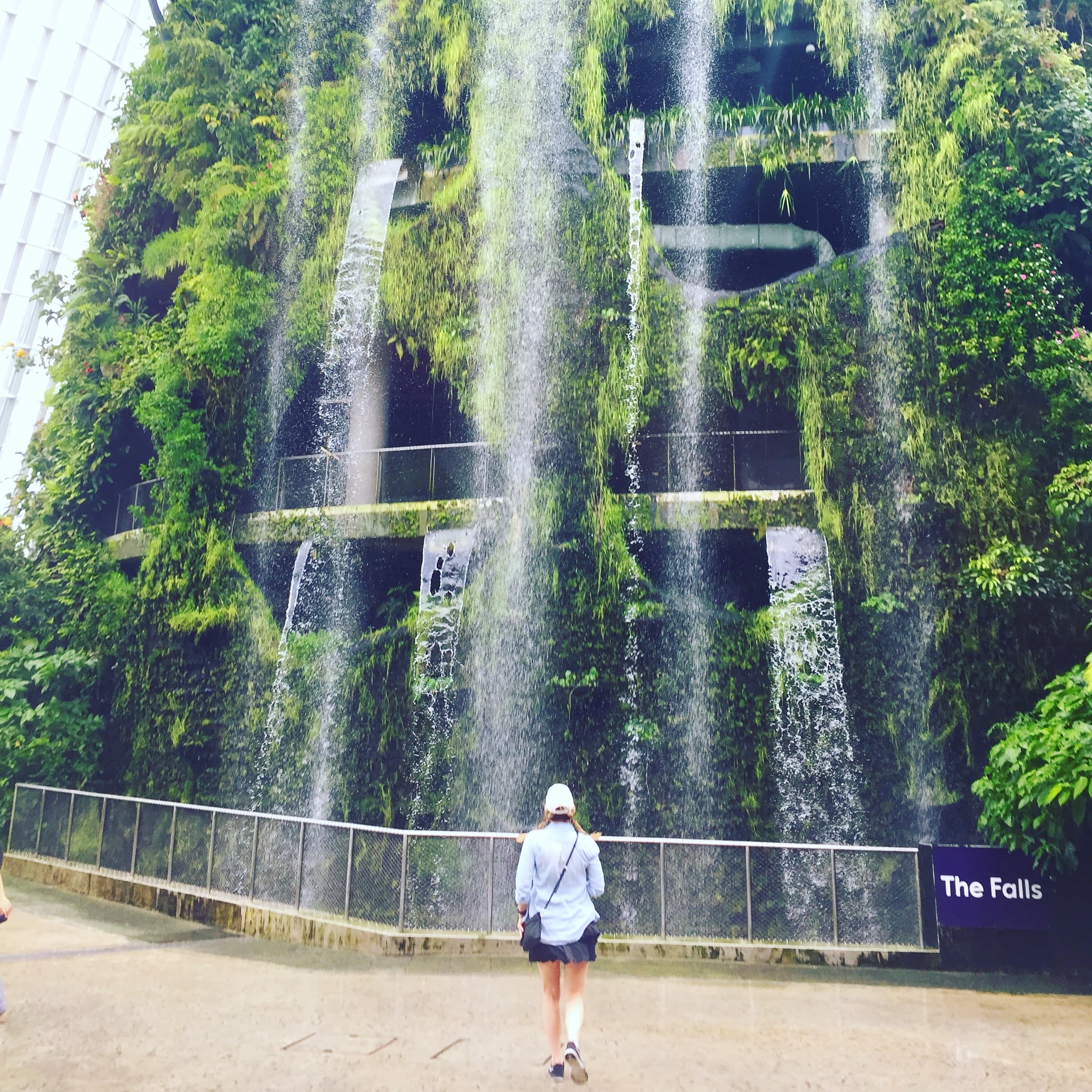 Advisor standing in front of a tall waterfall pouring down the side of a building covered with plants