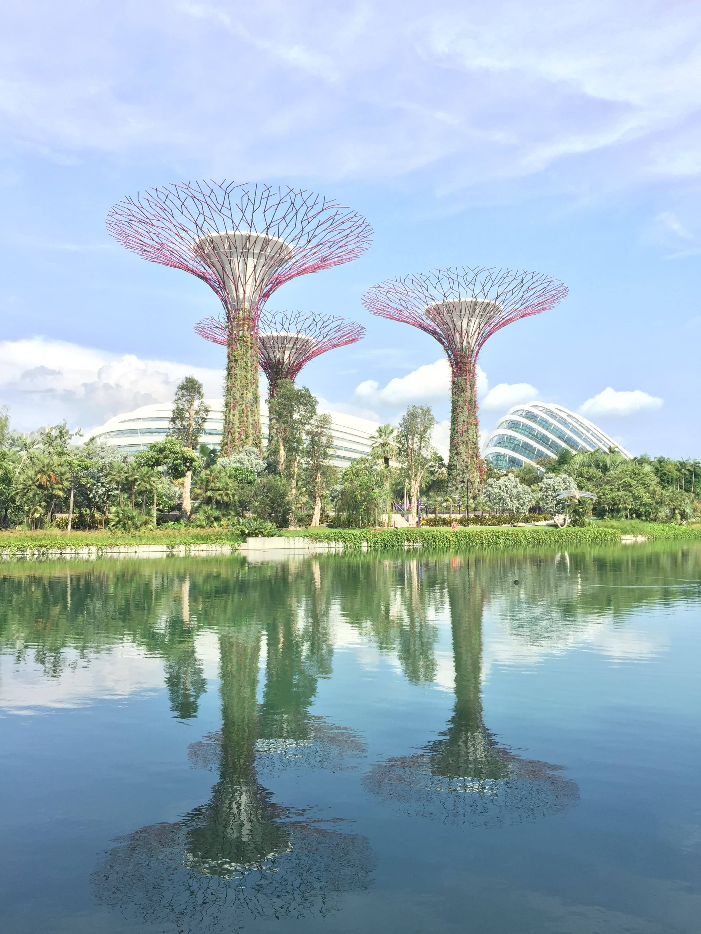 View of three tree-like tower structures beside a pond in a park on a sunny day