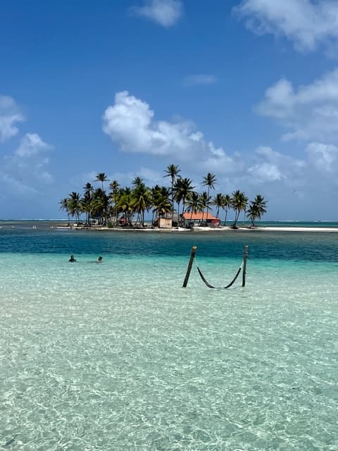 Palm trees over the sea.