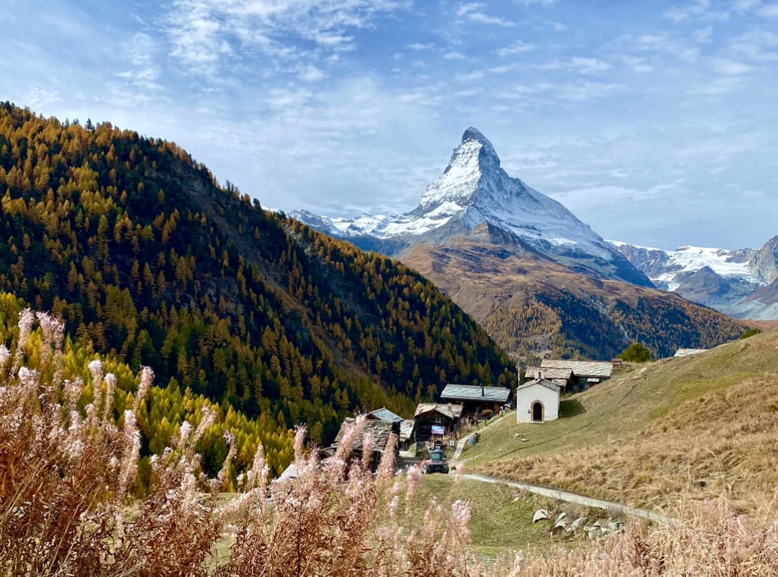 Beautiful view of plants and small buildings in a sunny valley with a snowy mountain in the distance