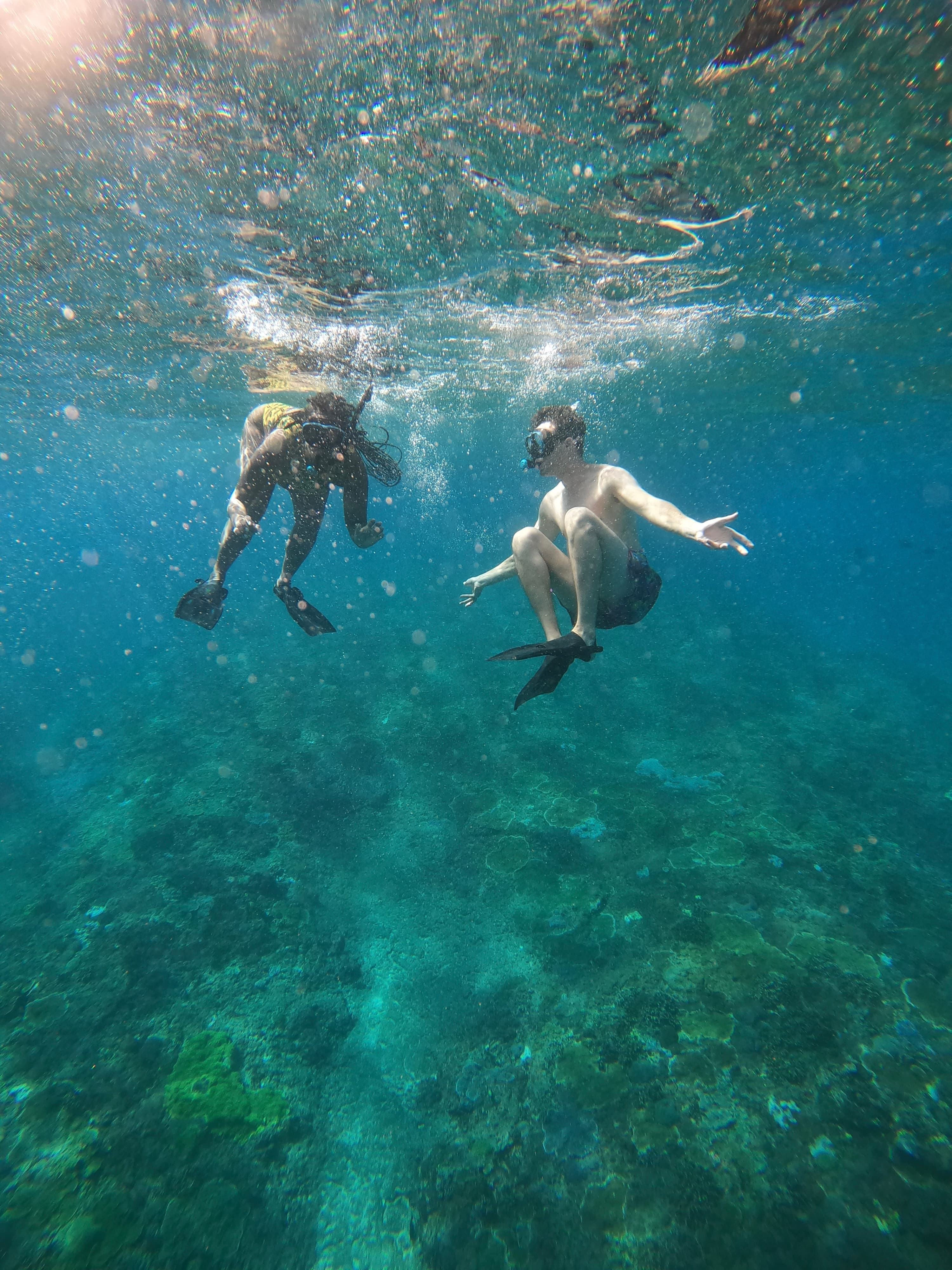 Snorkelling in the sea.