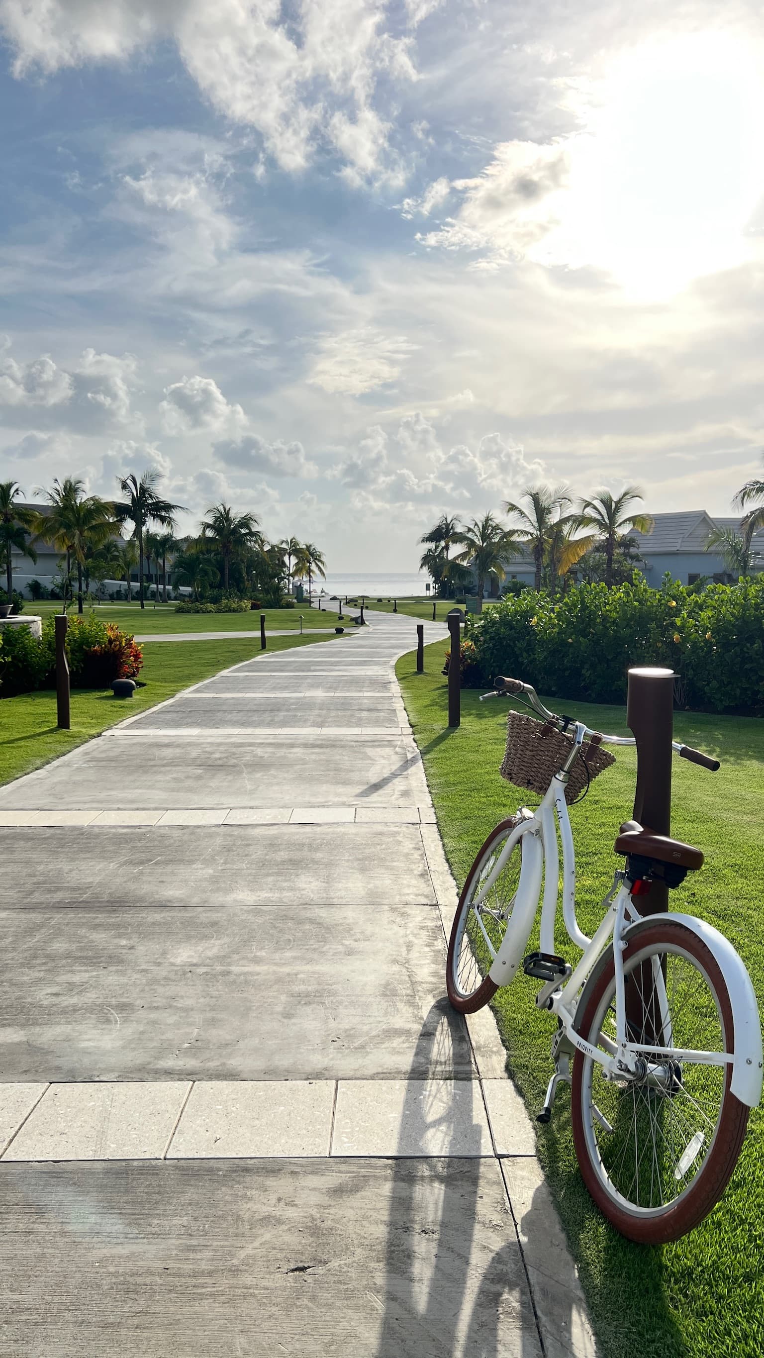 A bicycle parked along a park pathway on a sunny day