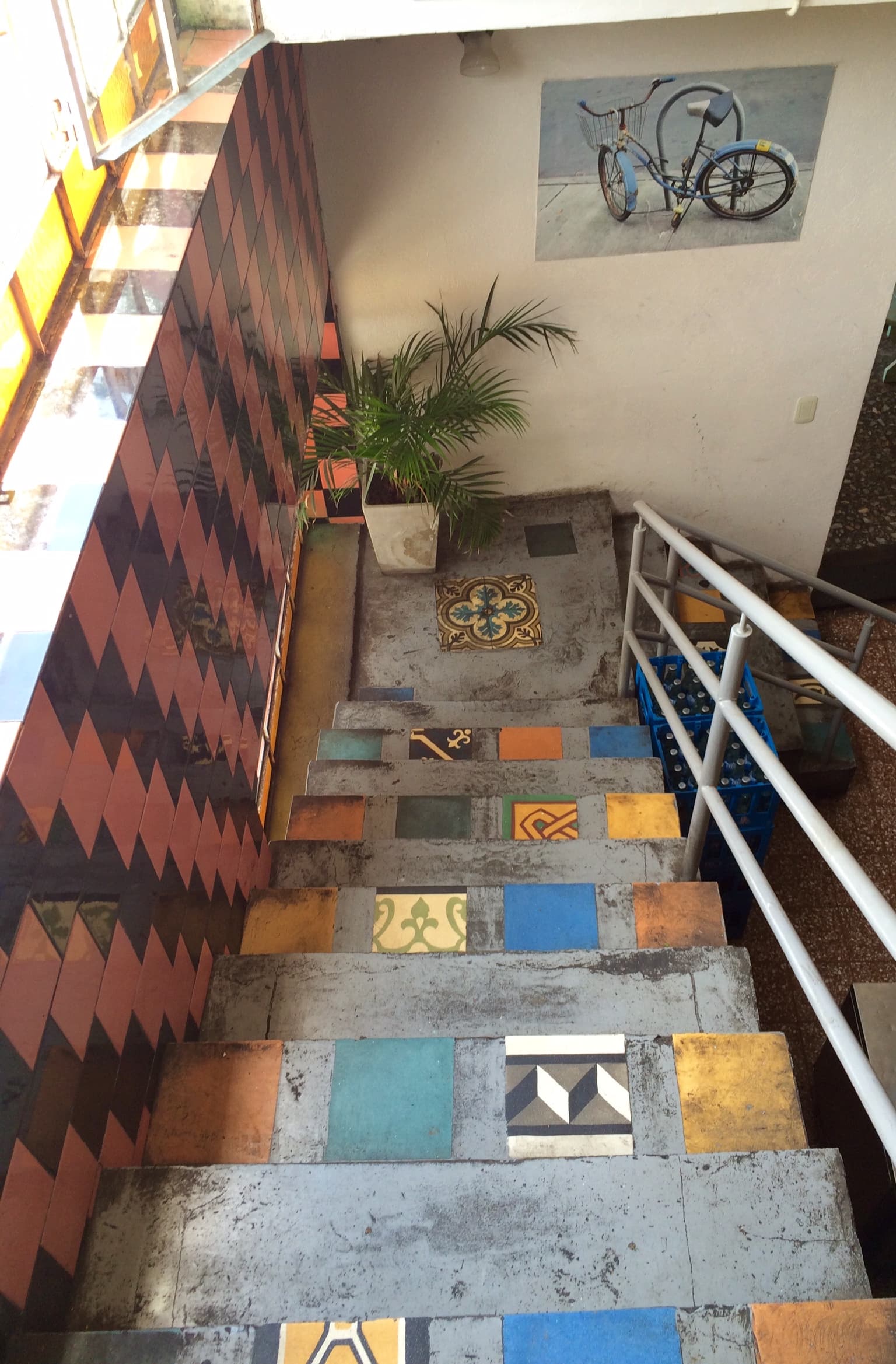 View of a staircase with colorful tiles and a potted plant at the bottom