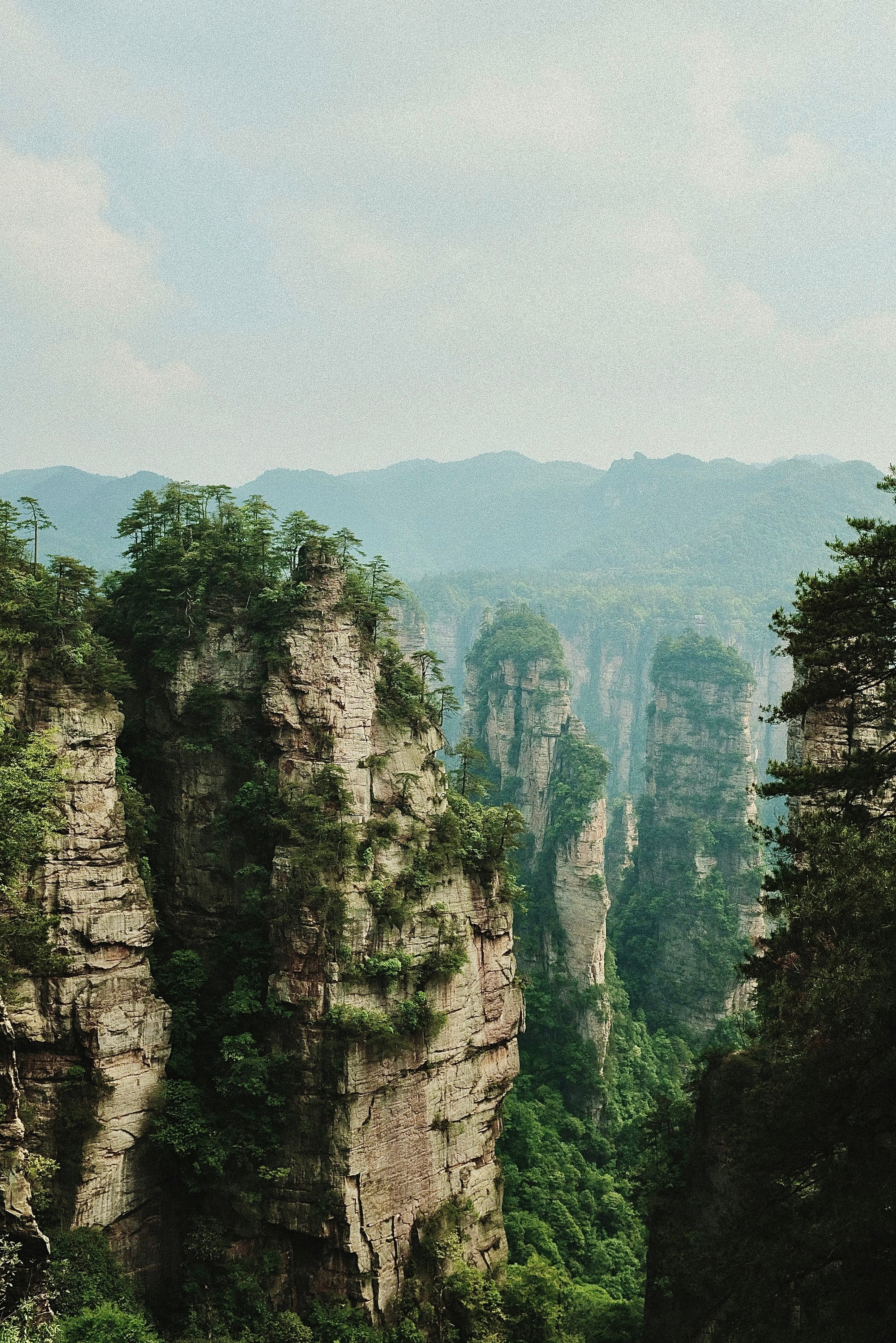 Mountains and trees.