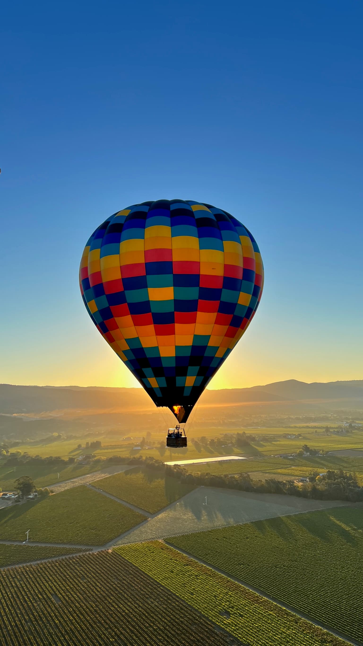 View of a colorful hot air balloon floating above ground at sunrise