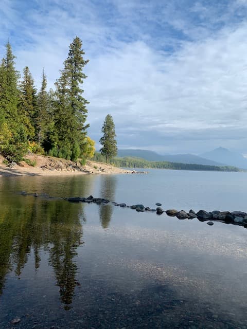 View of a glassy body of water with tall green trees to the side on a sunny day