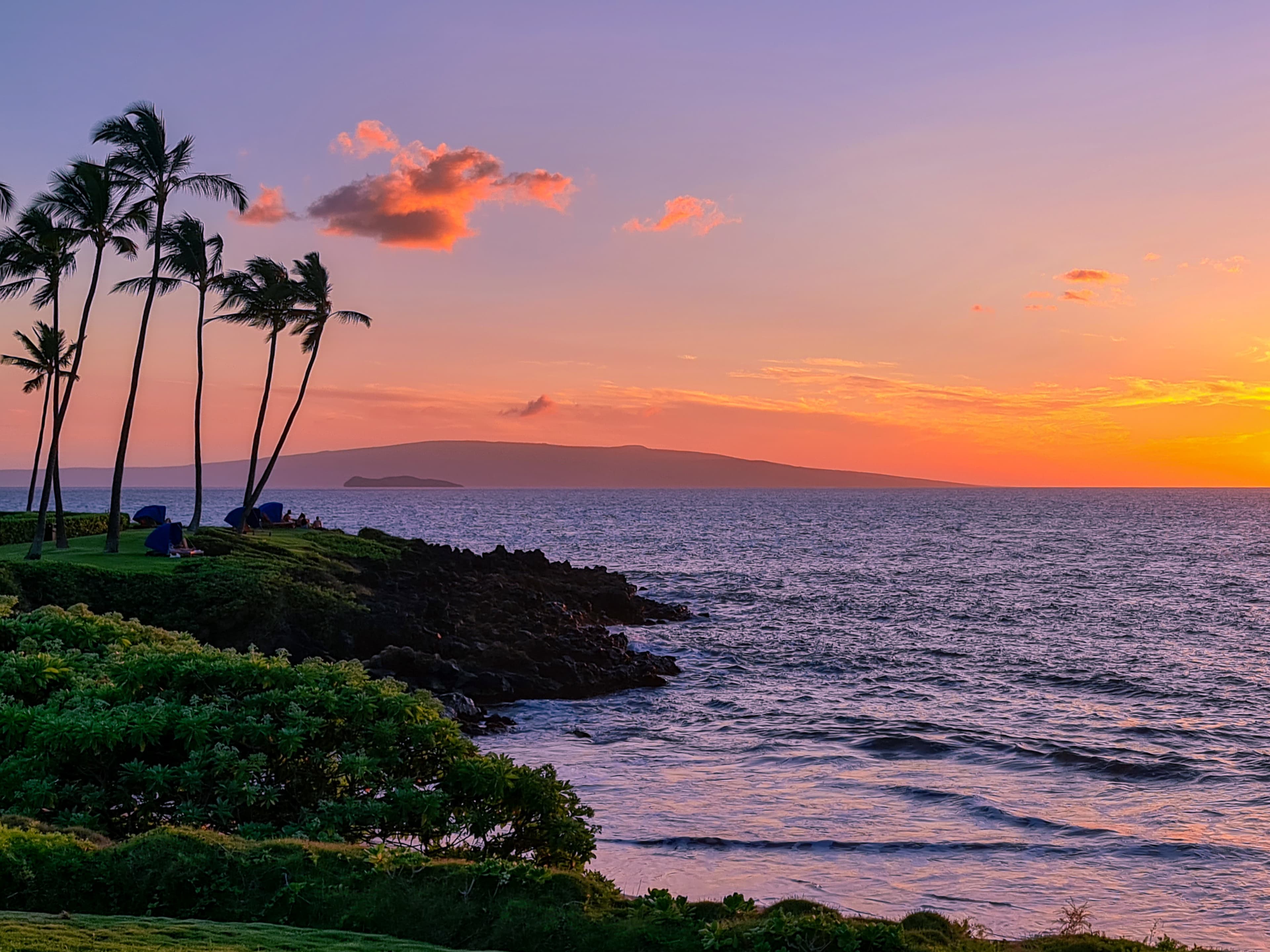 Beautiful orange sunset over the sea in Hawai’i with palm trees in silhouette to one side