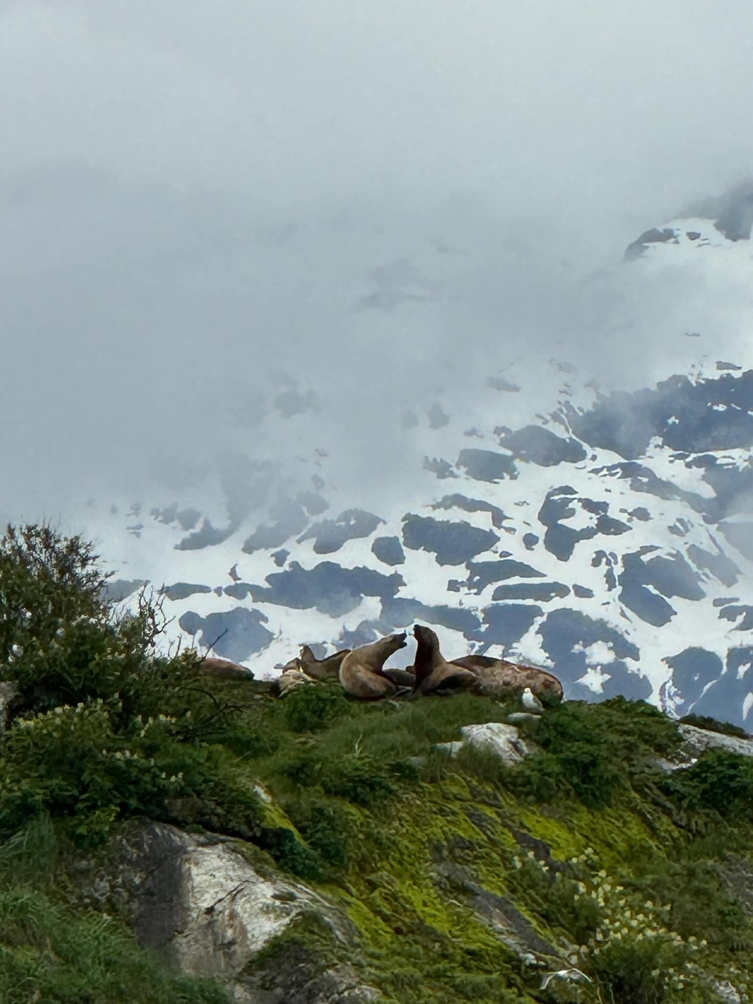 Glacier bay.