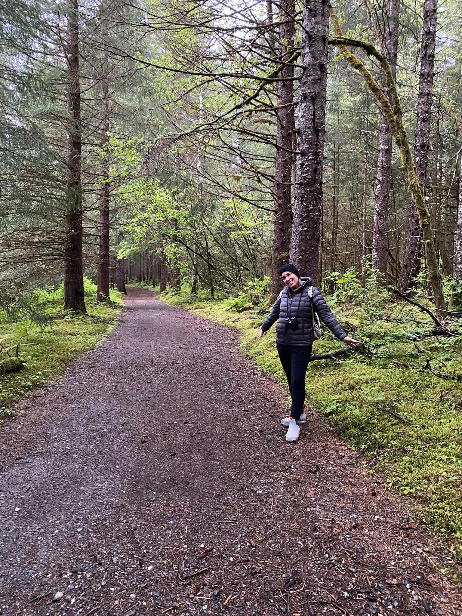Glacier bay forest.