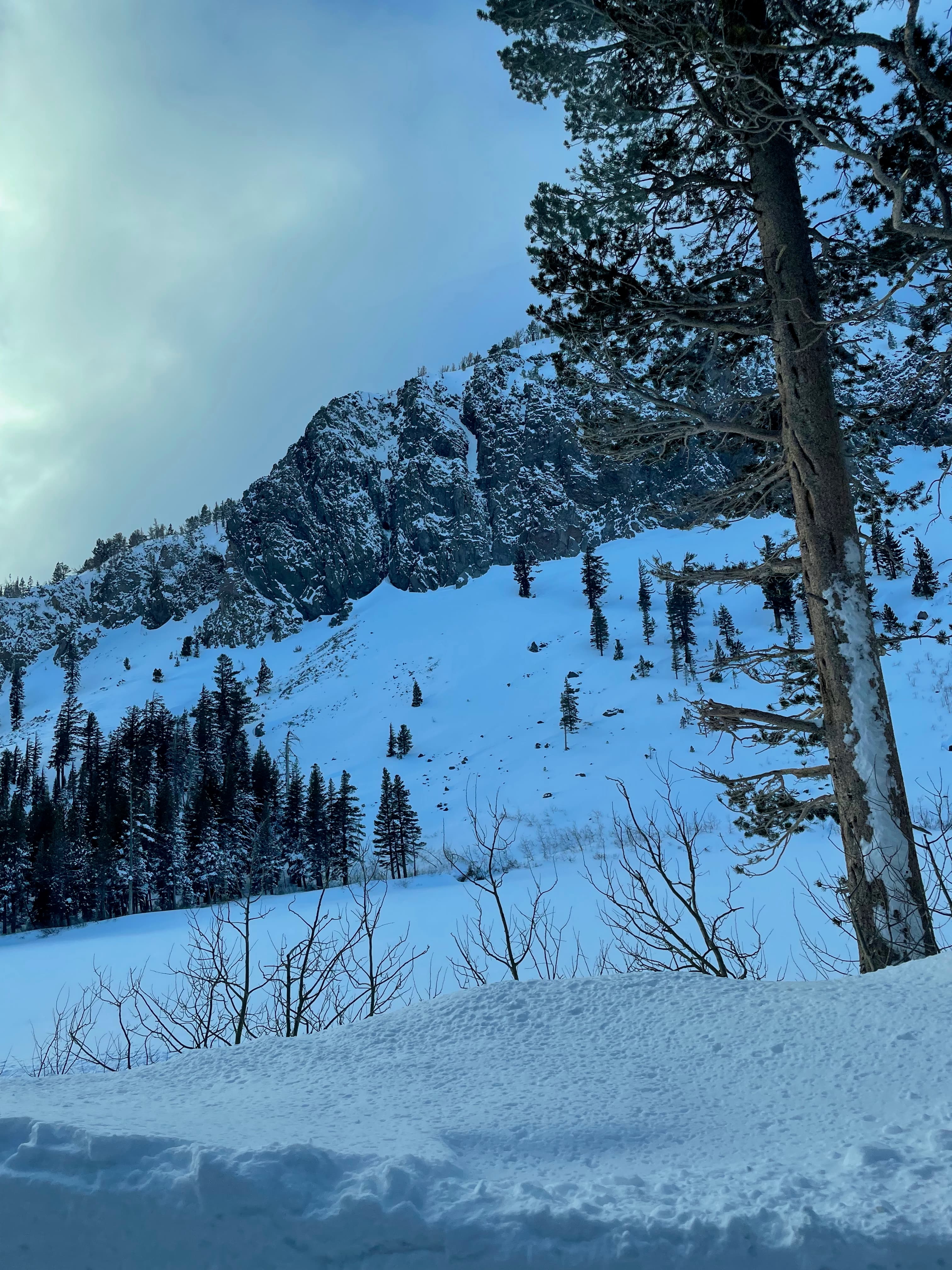 A view of a snowy region during the winter.