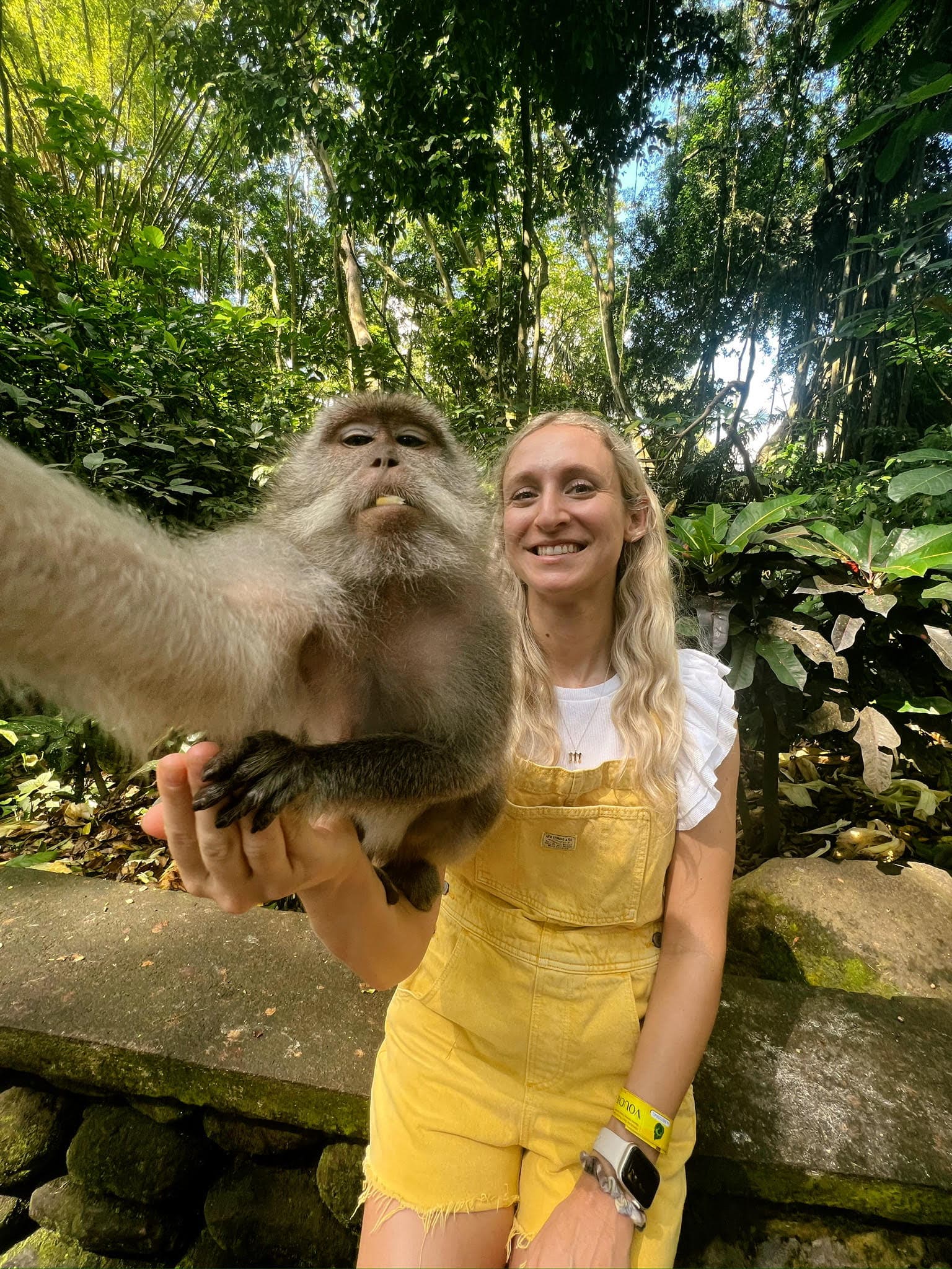 A person holding a monkey in a jungle