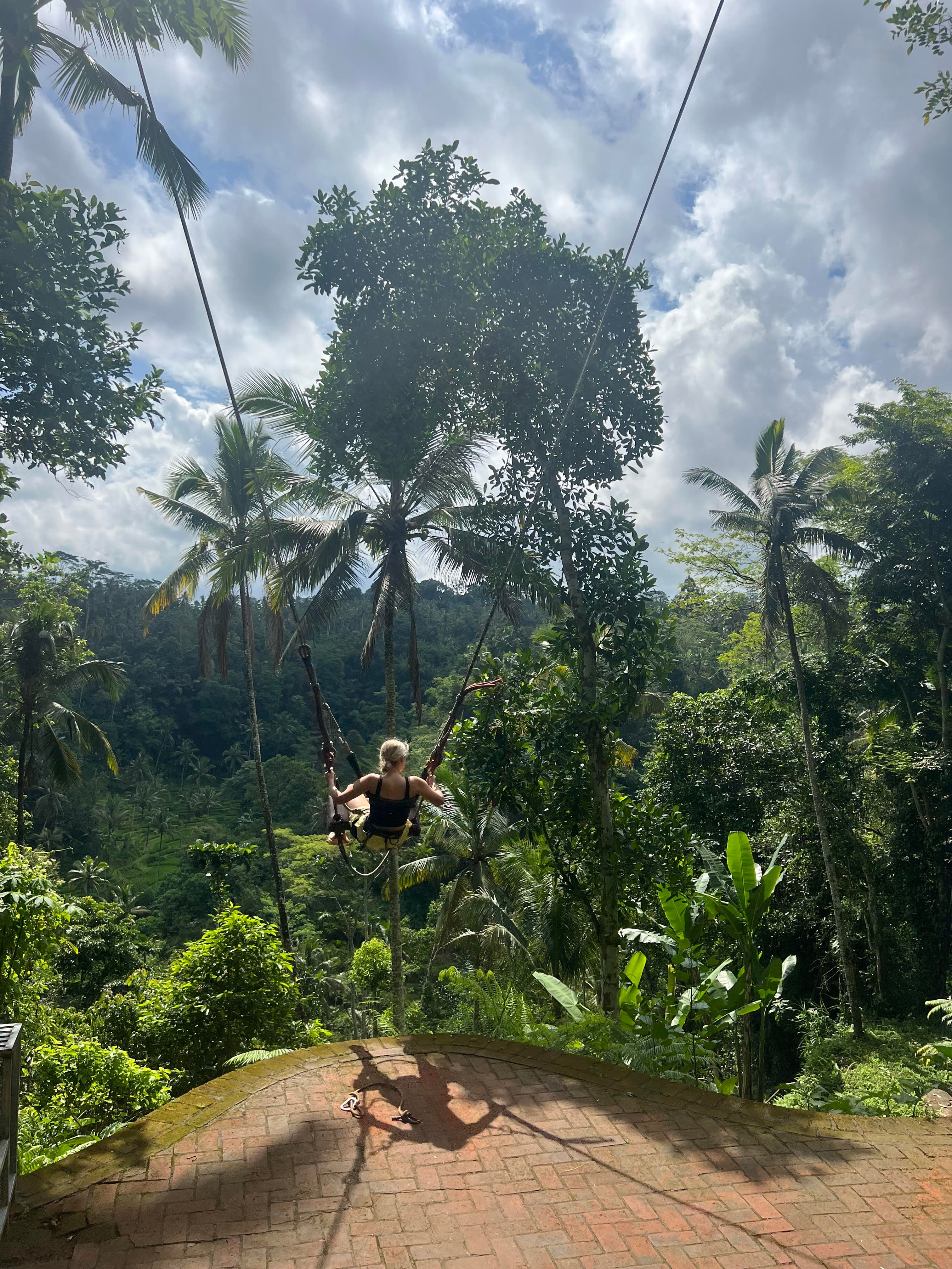 A person on a swing in a jungle
