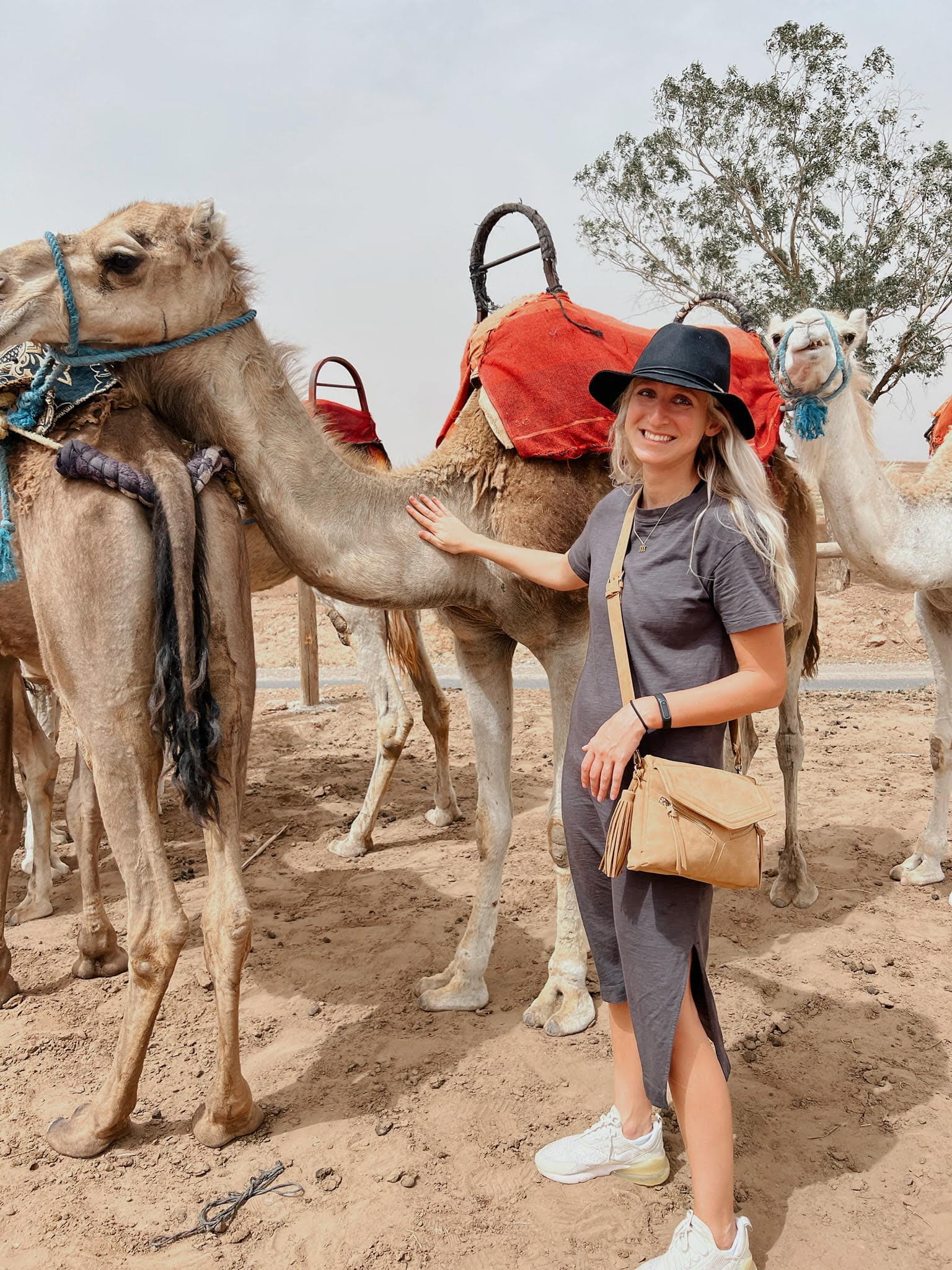 Advisor standing next to a camel during the daytime