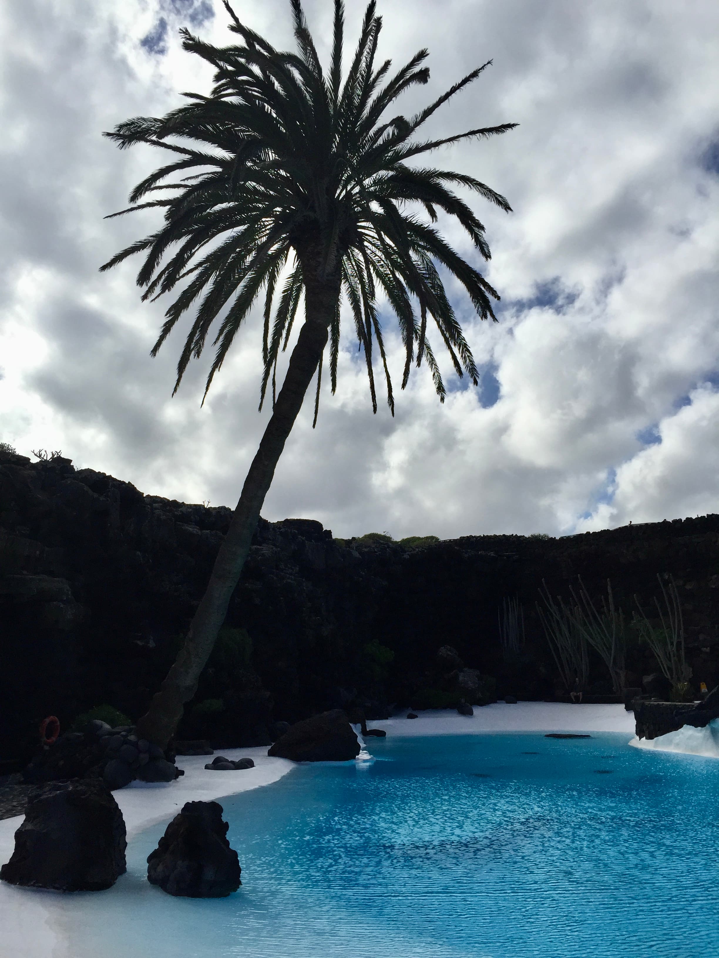 View of a palm tree over a small secluded bay and beach under cloudy skies