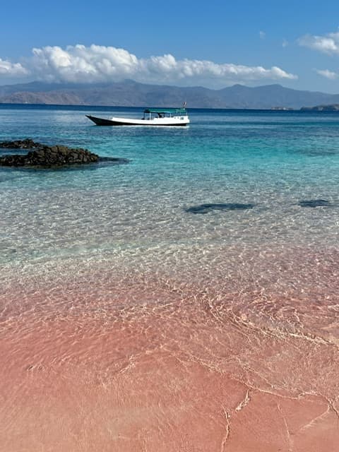 Pink beach by the sea.