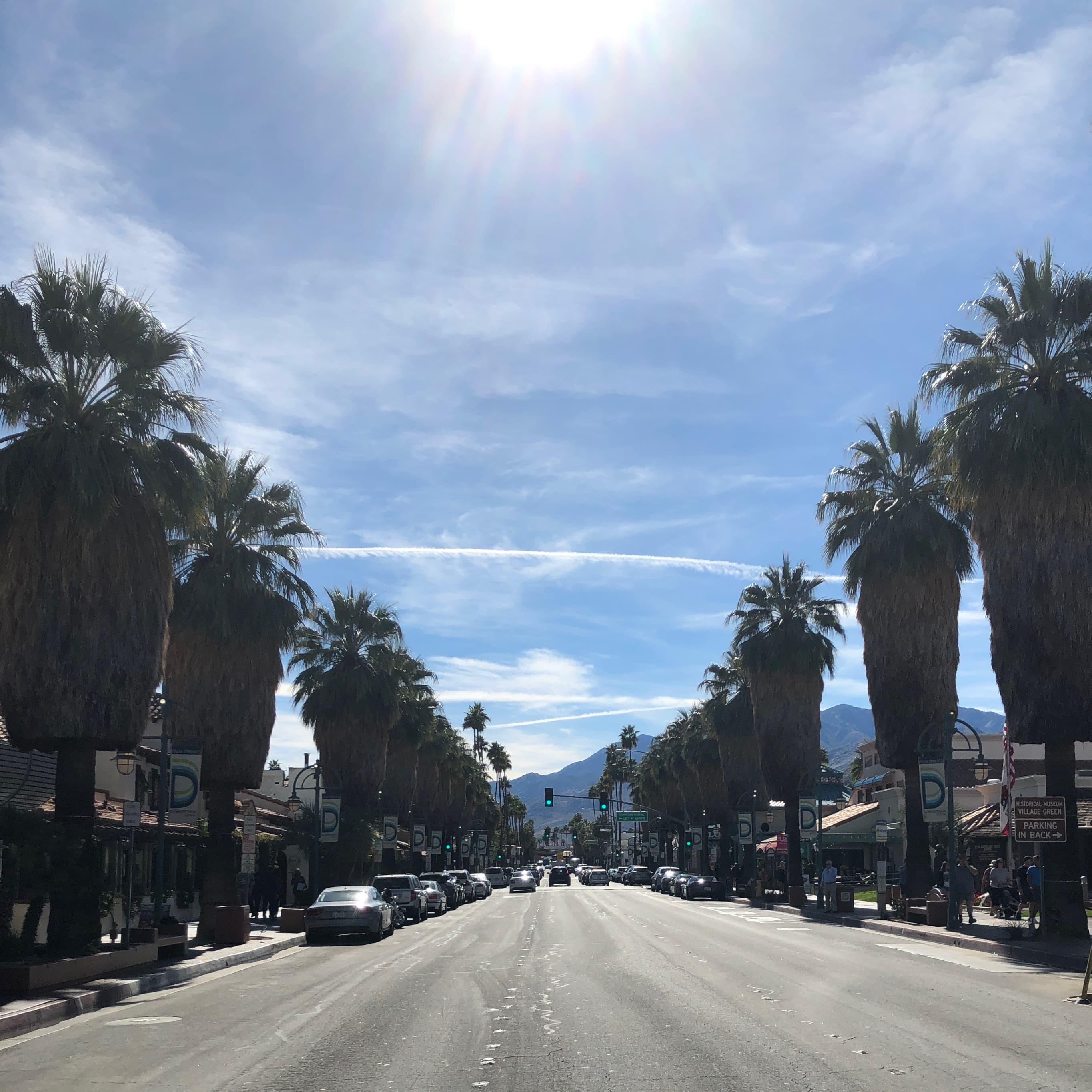 A street view with cars driving and lined with palm trees on either side during the day.
