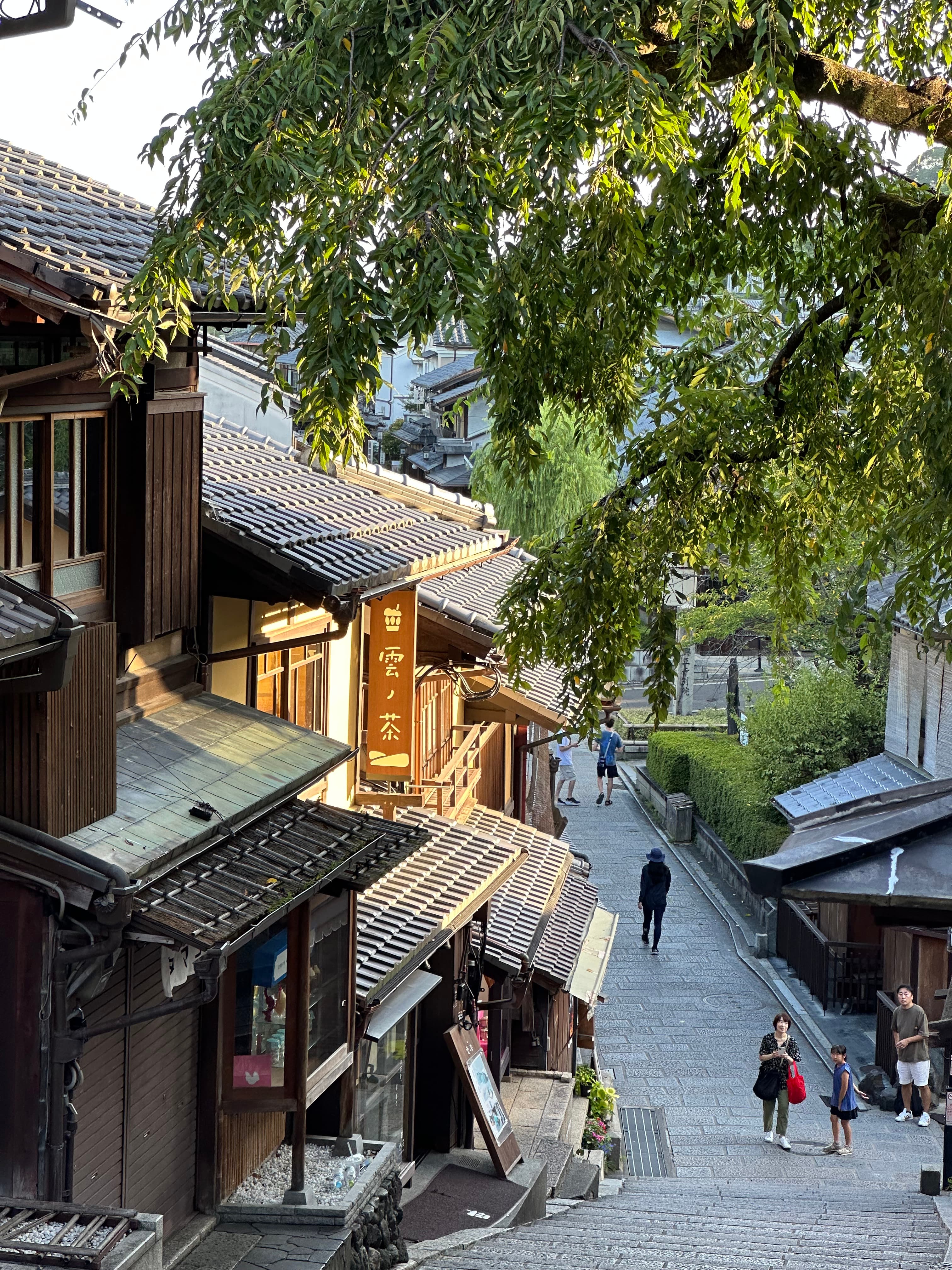 View of a hillside road in Japan with tree branches overhead and pedestrians walking below