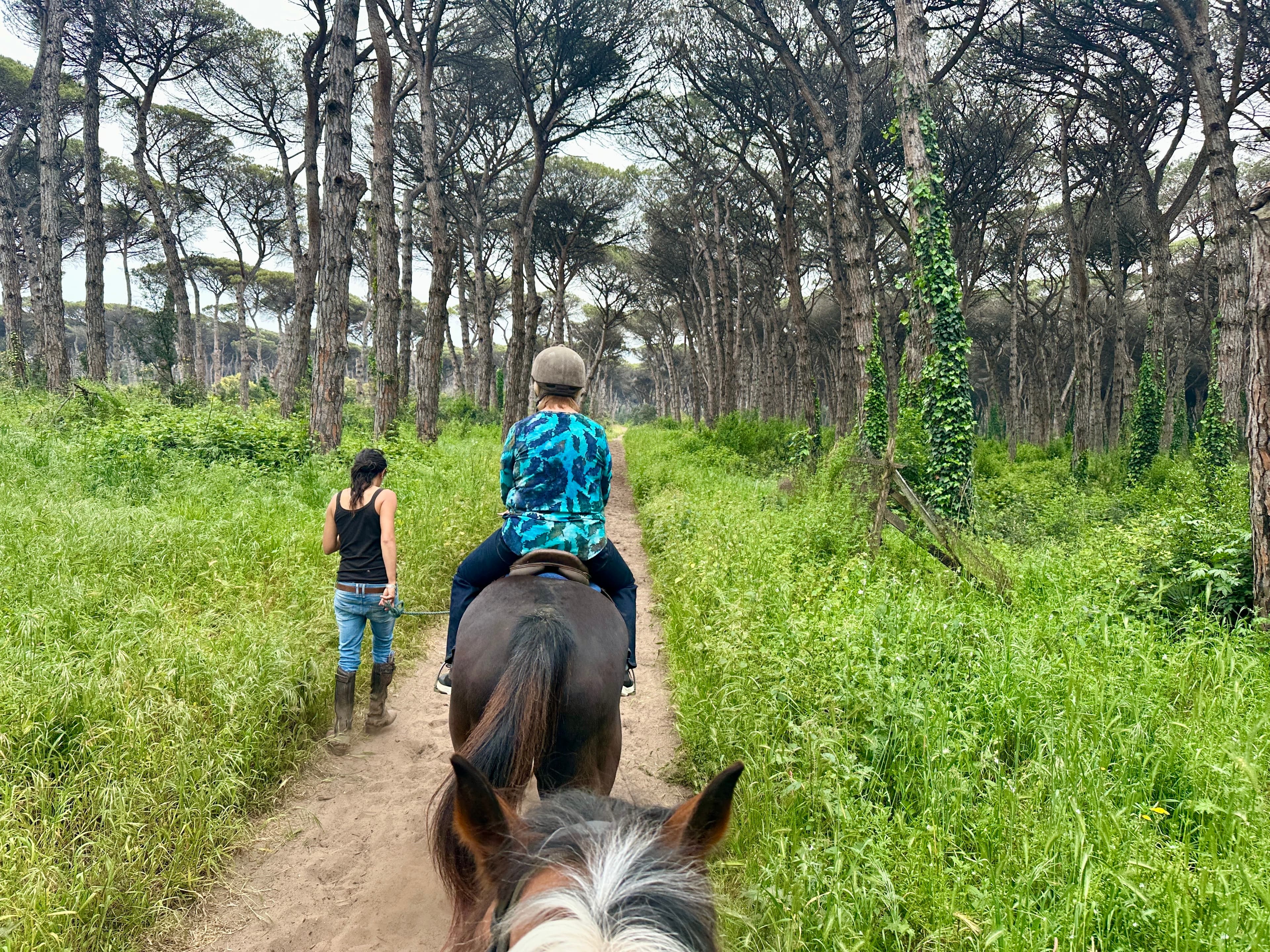 View from behind of a young boy riding a horse on a dirt path through the trees