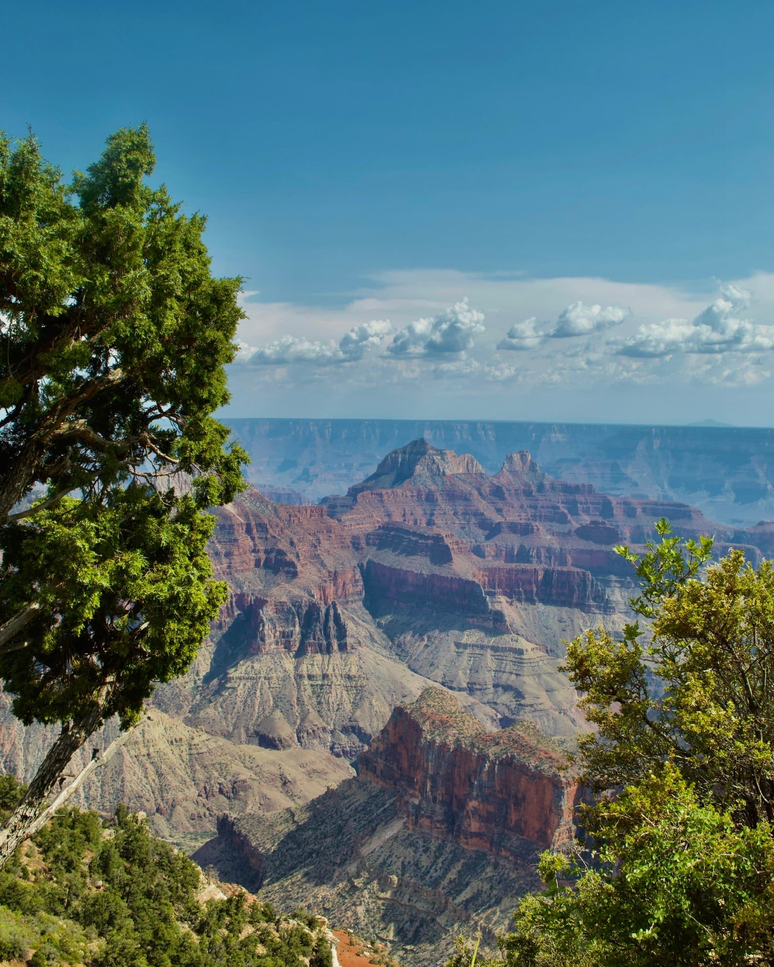 View of a beautiful canyon stretching into the distance under clear skies