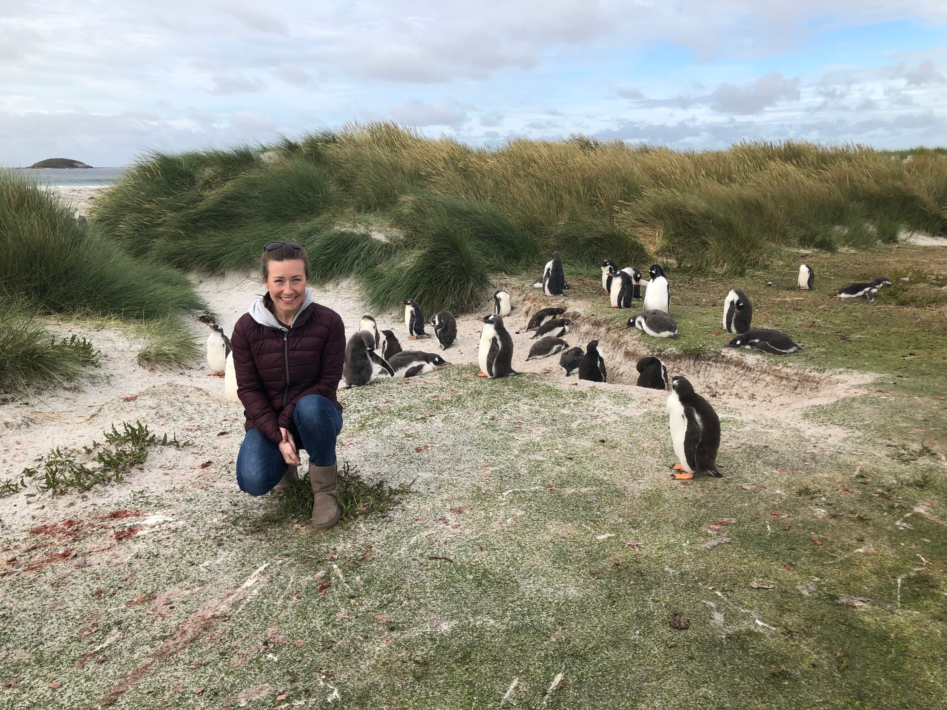 Photo with penguins on the beach.