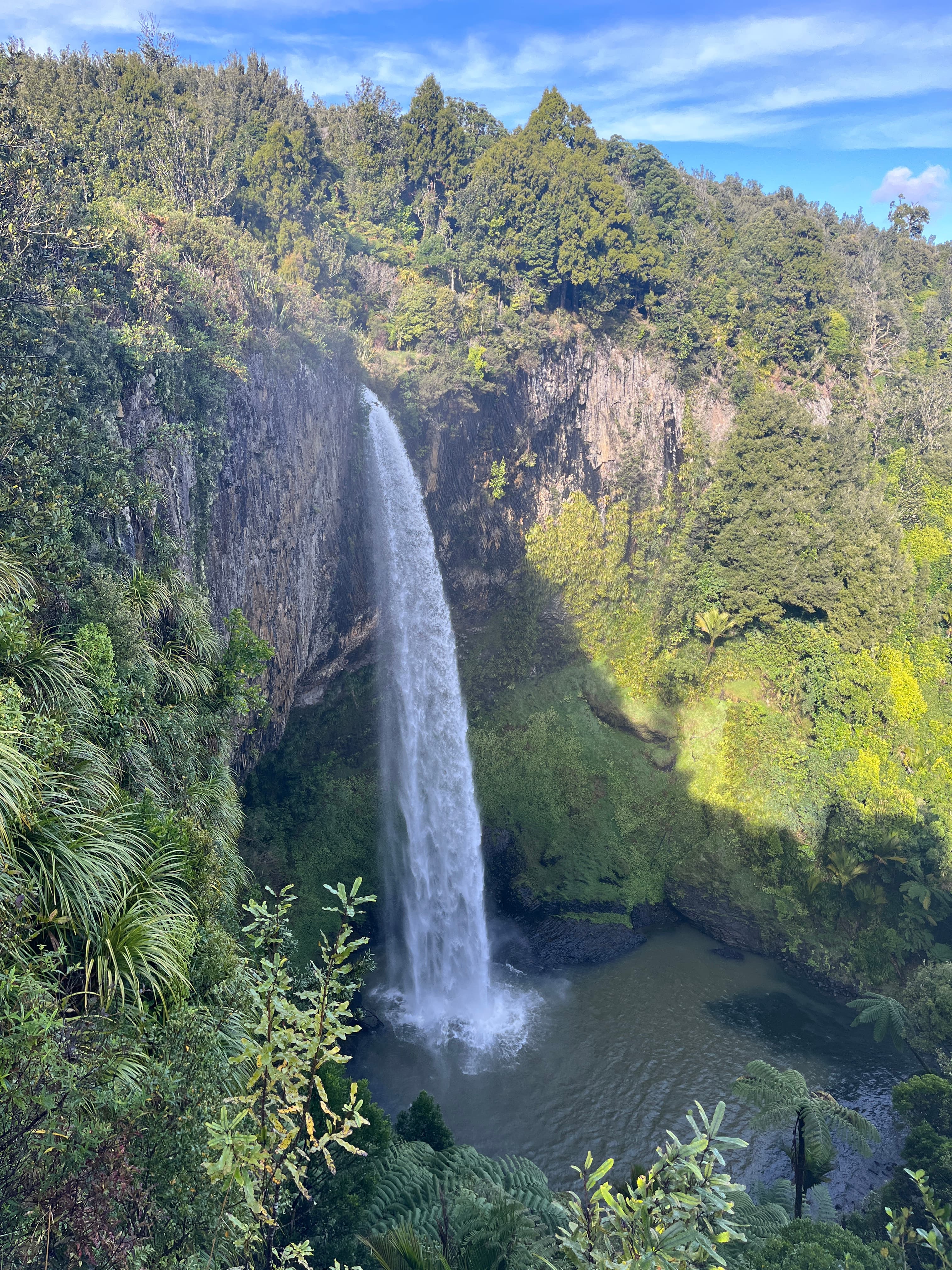 Waterfall by greenery.