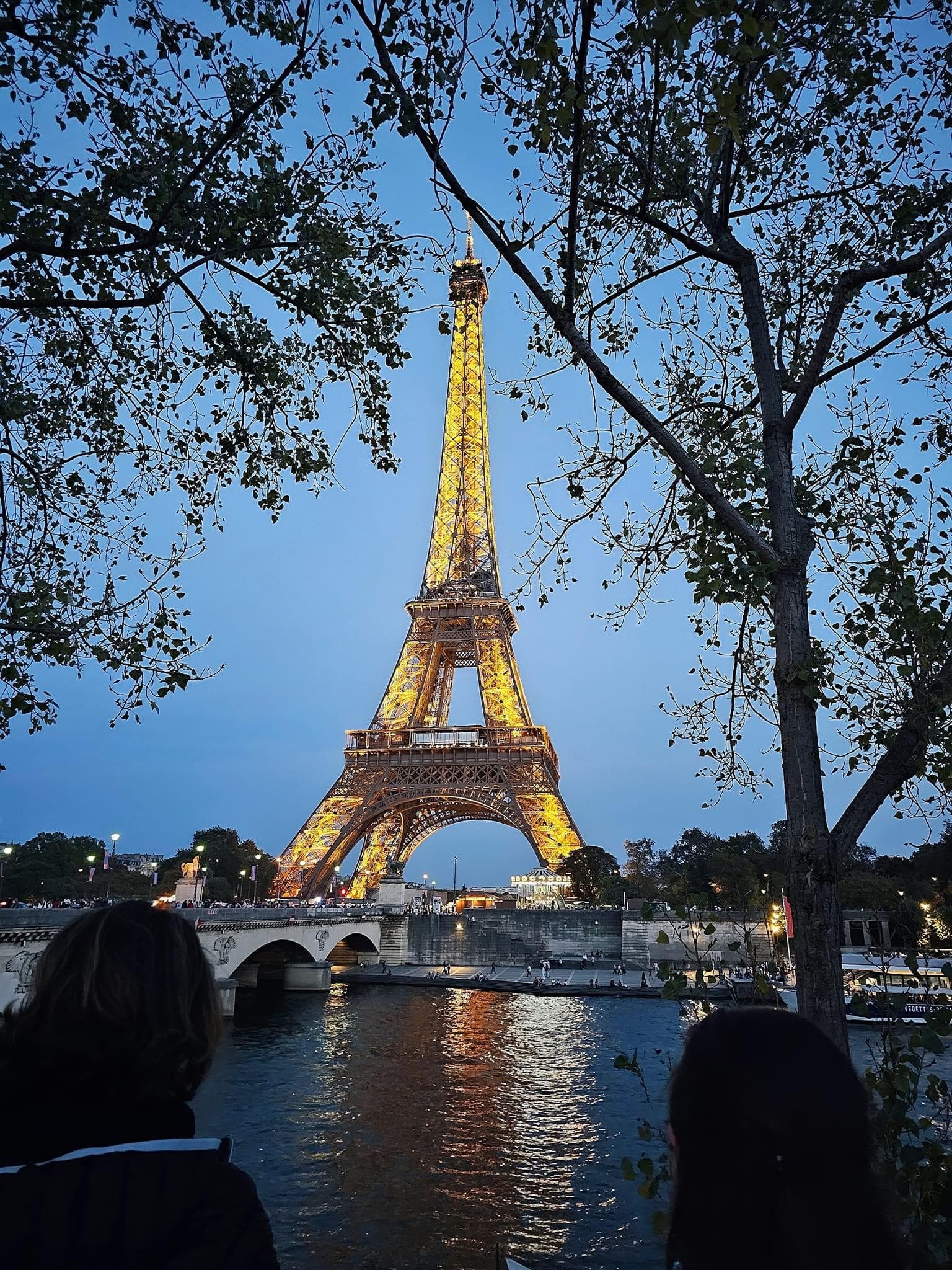 View of the Eiffel Tower lit up at night as seen from across the river at dusk