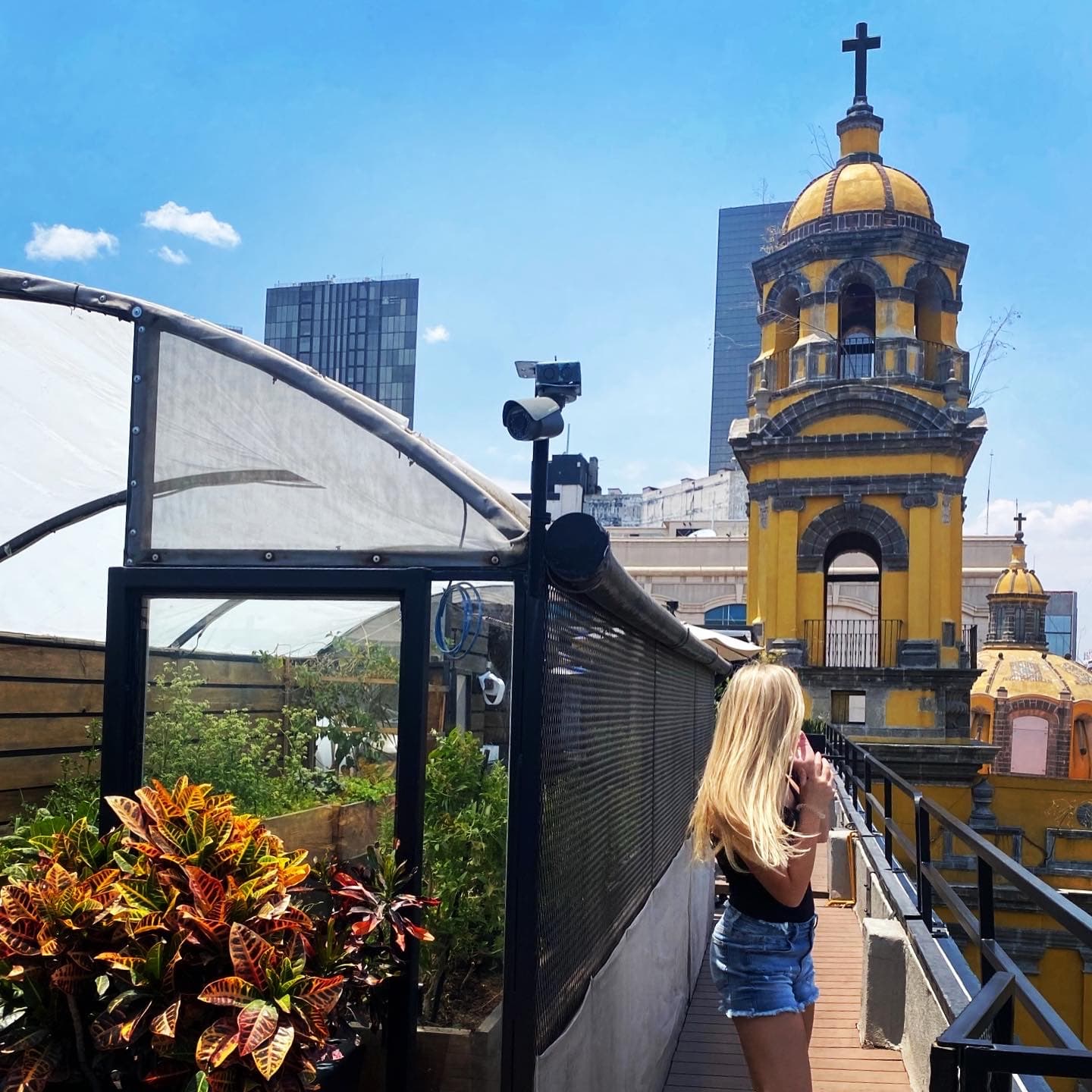 View of advisor standing on a sunny rooftop with a yellow church tower and modern skyscrapers visible behind her