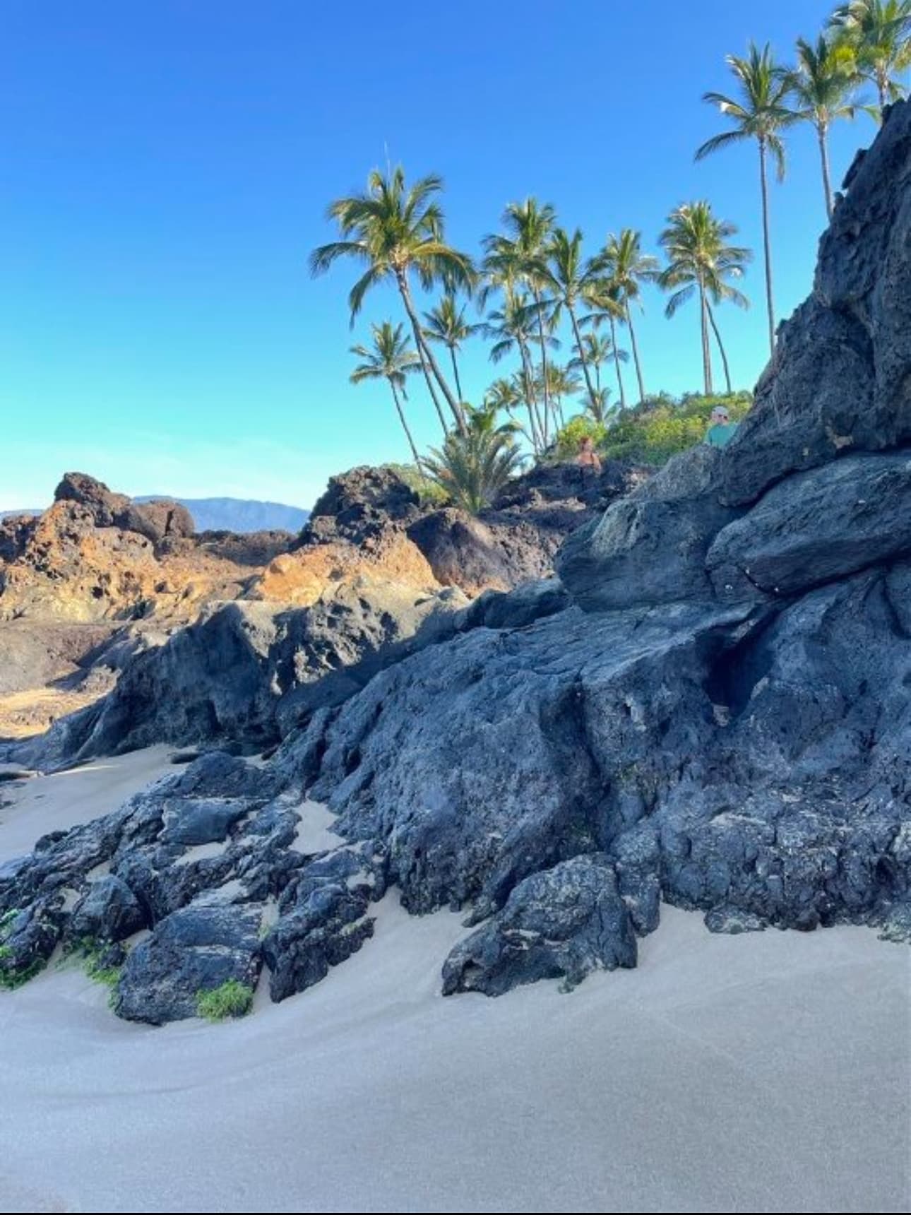 Rocks on the beach with palm trees in the distance under clear skies